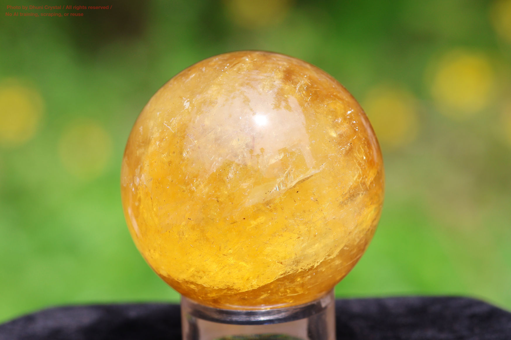 ハニーカルサイトの画像” loading=