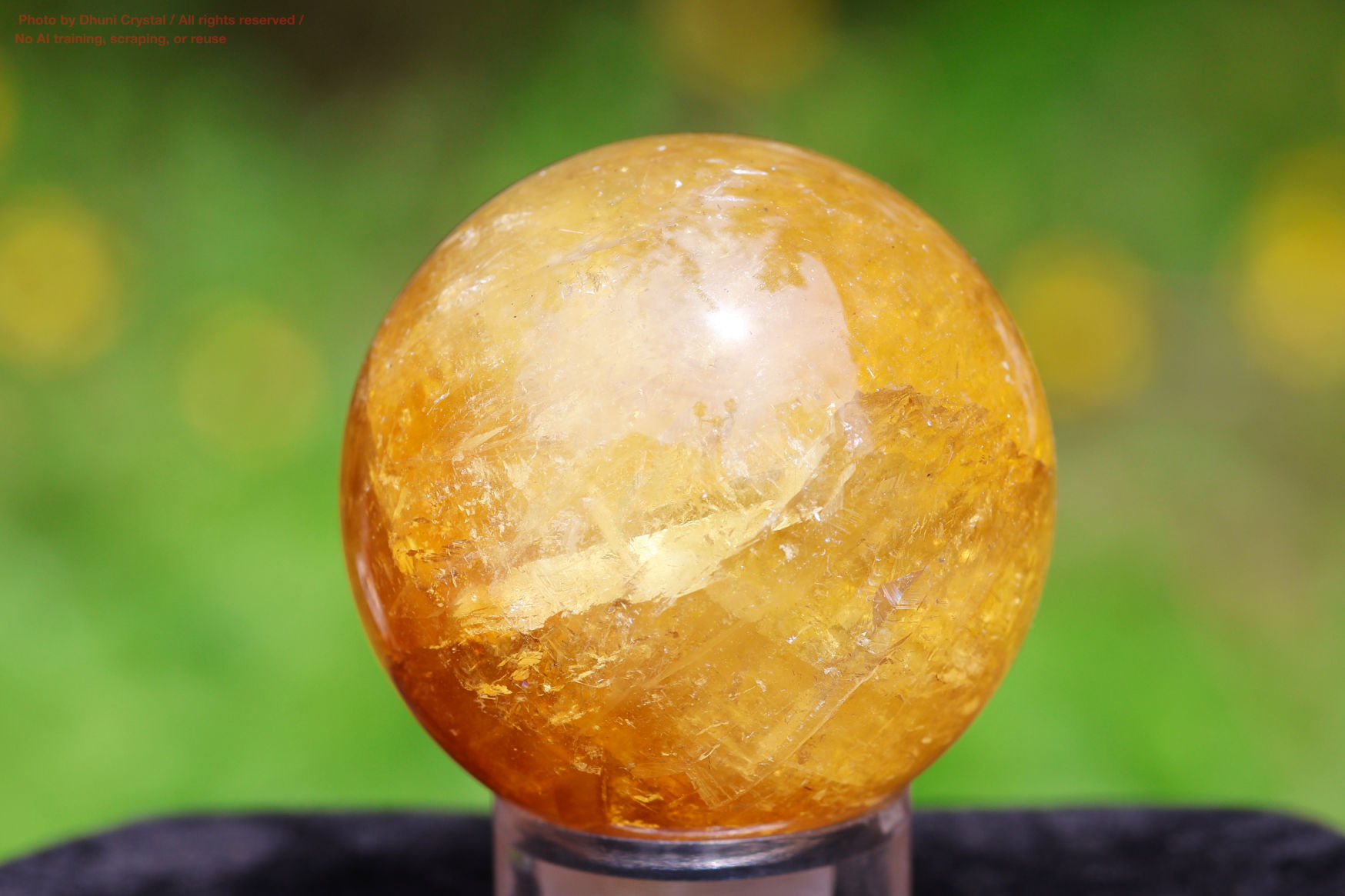 ハニーカルサイトの画像