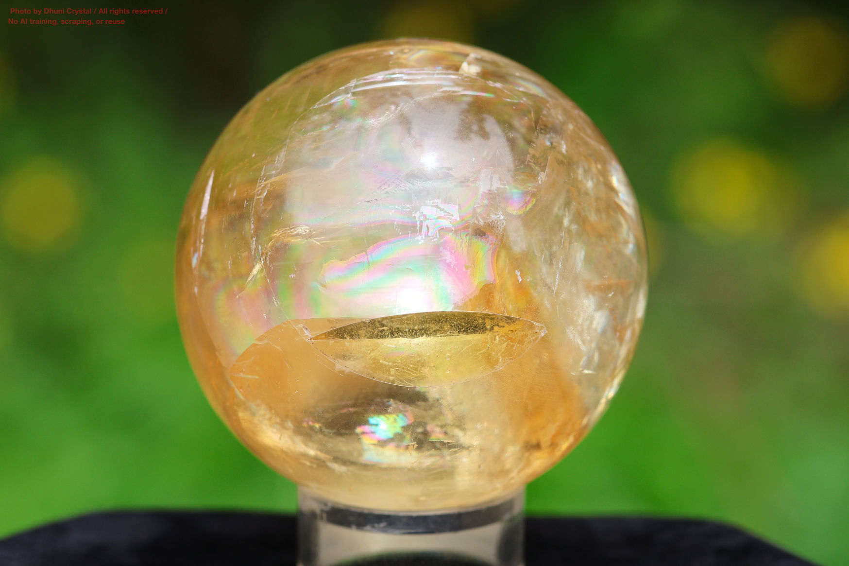 ハニーカルサイトの画像” loading=