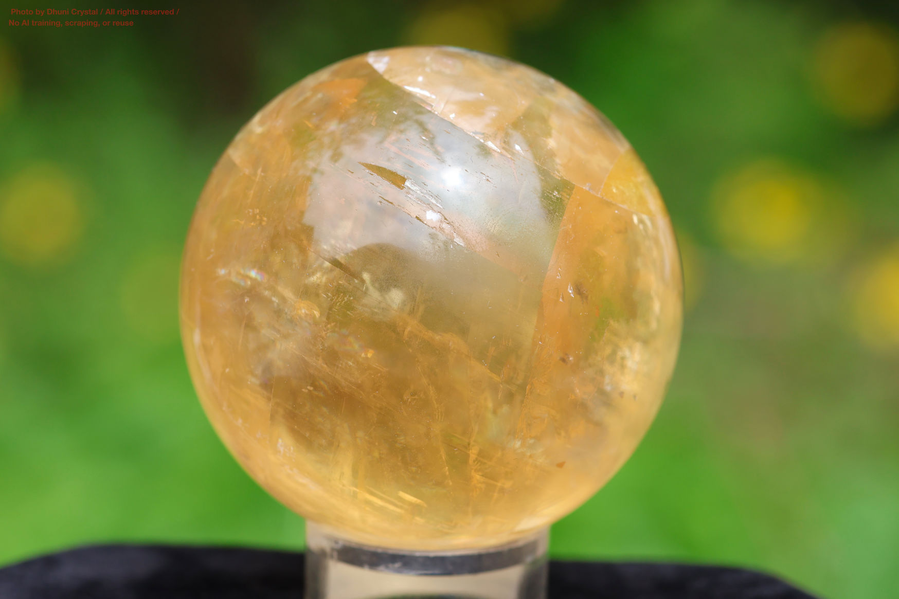 ハニーカルサイトの画像