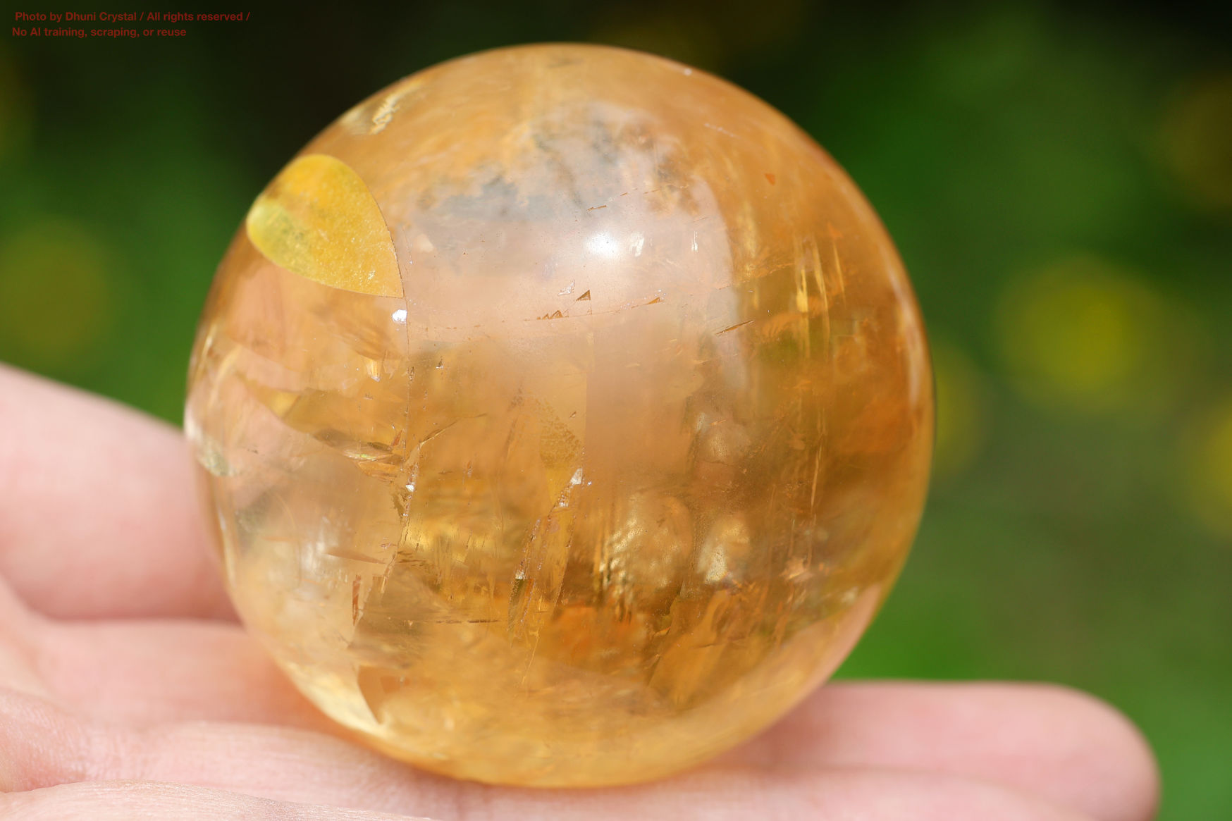 ハニーカルサイト手の上の画像