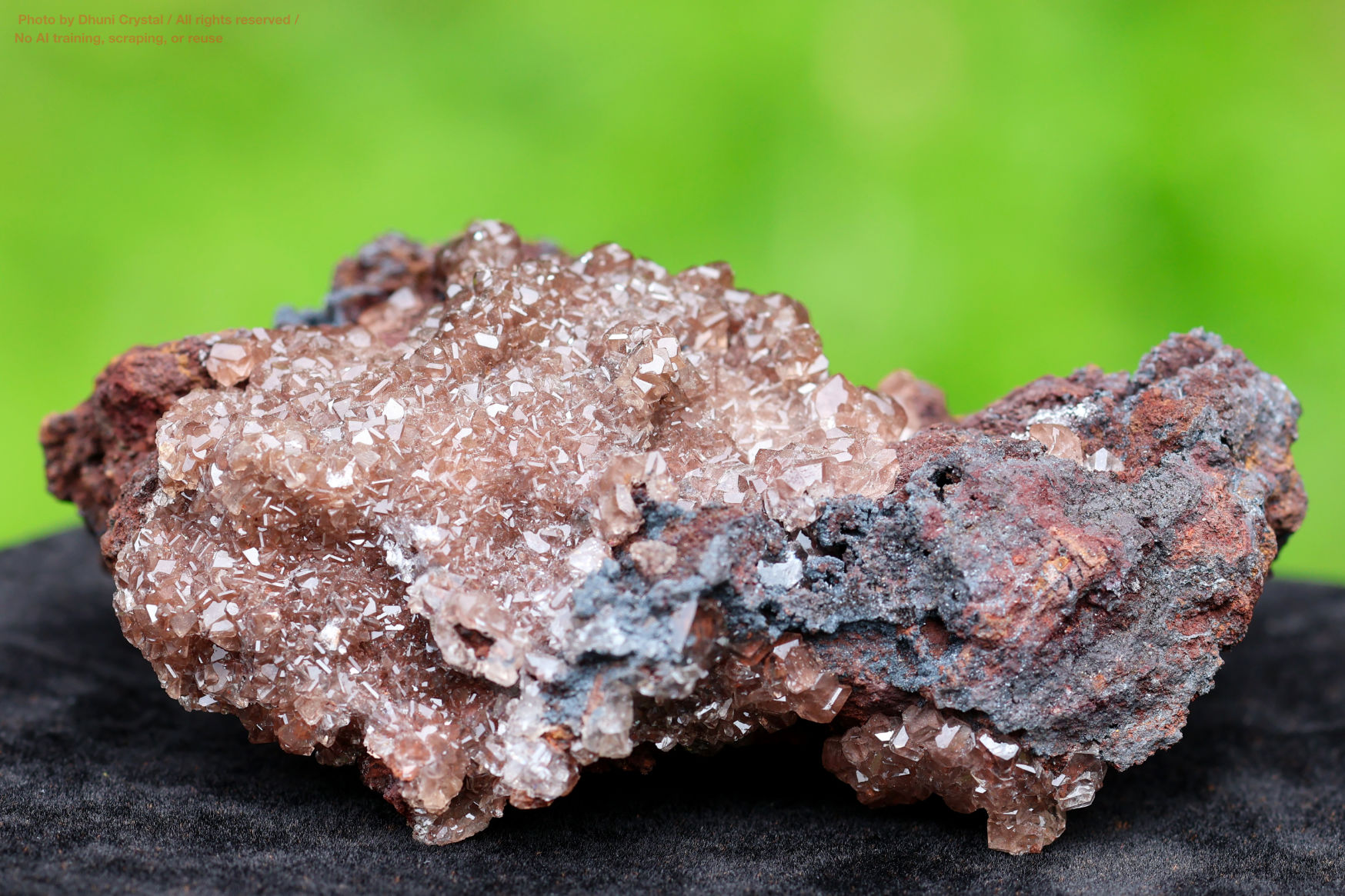 ハニーカルサイトの画像” loading=