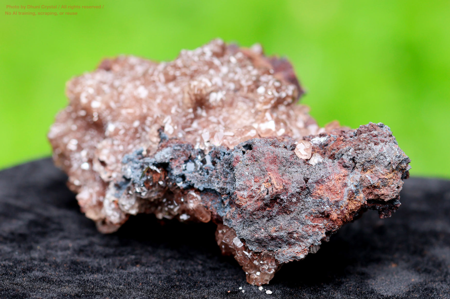 ハニーカルサイトの画像