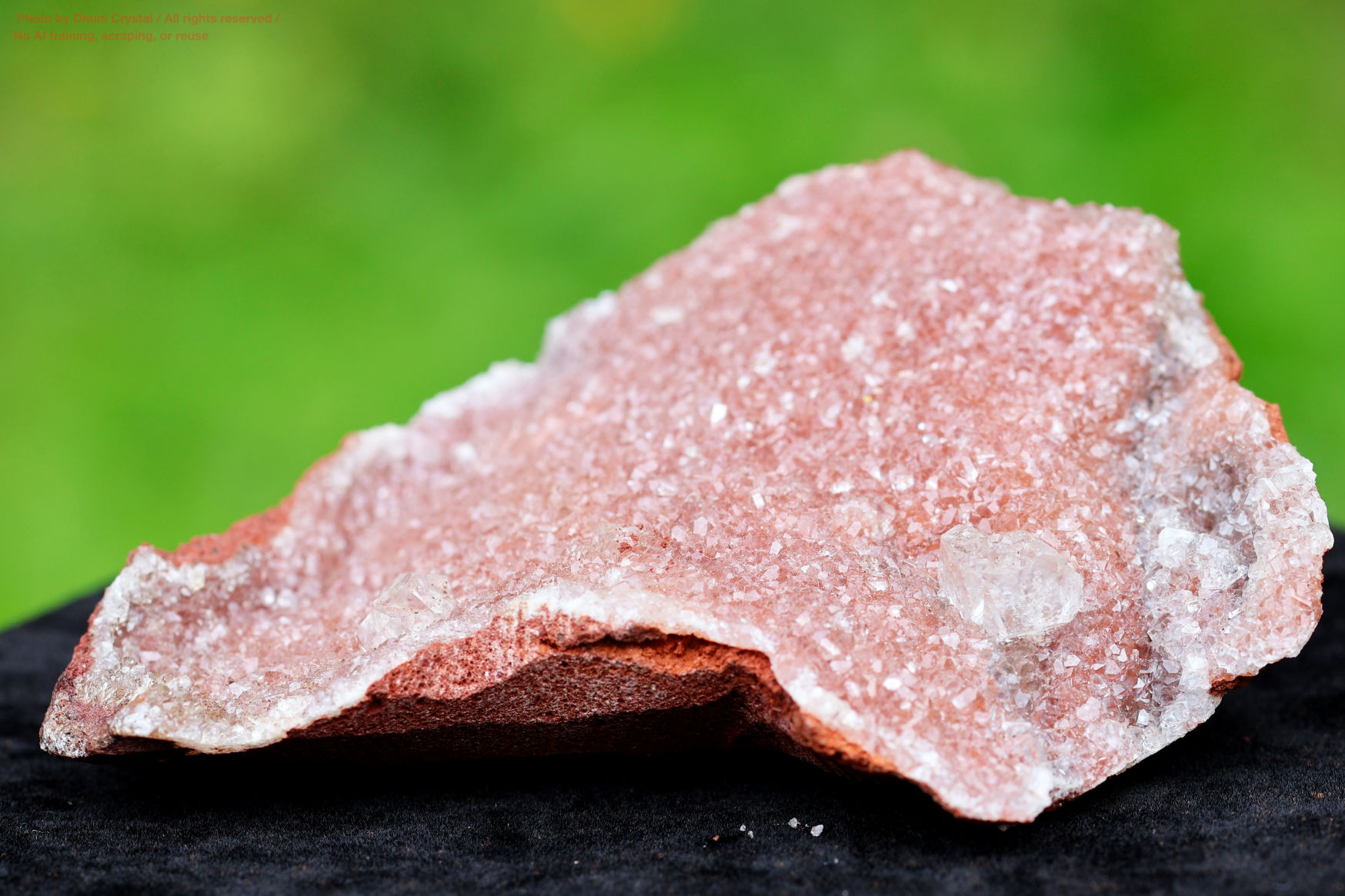 ハニーカルサイトの画像” loading=