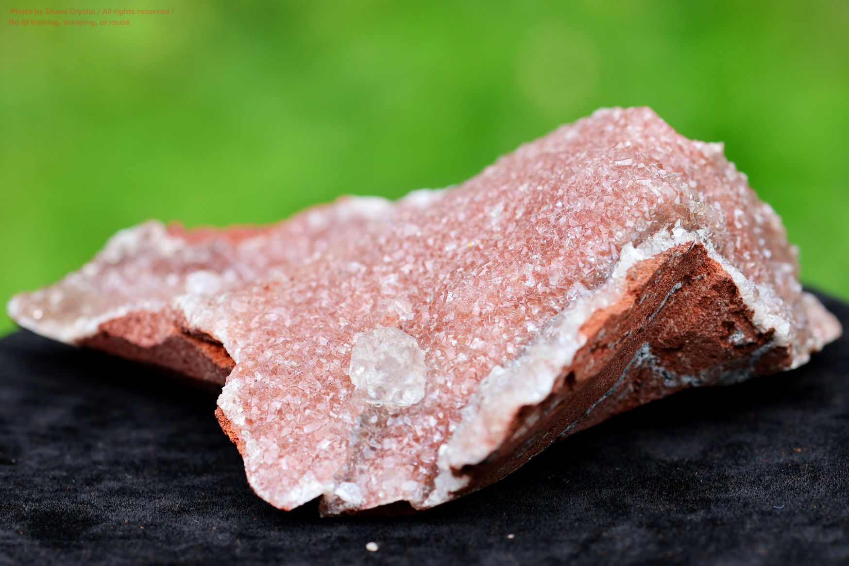 ハニーカルサイトの画像