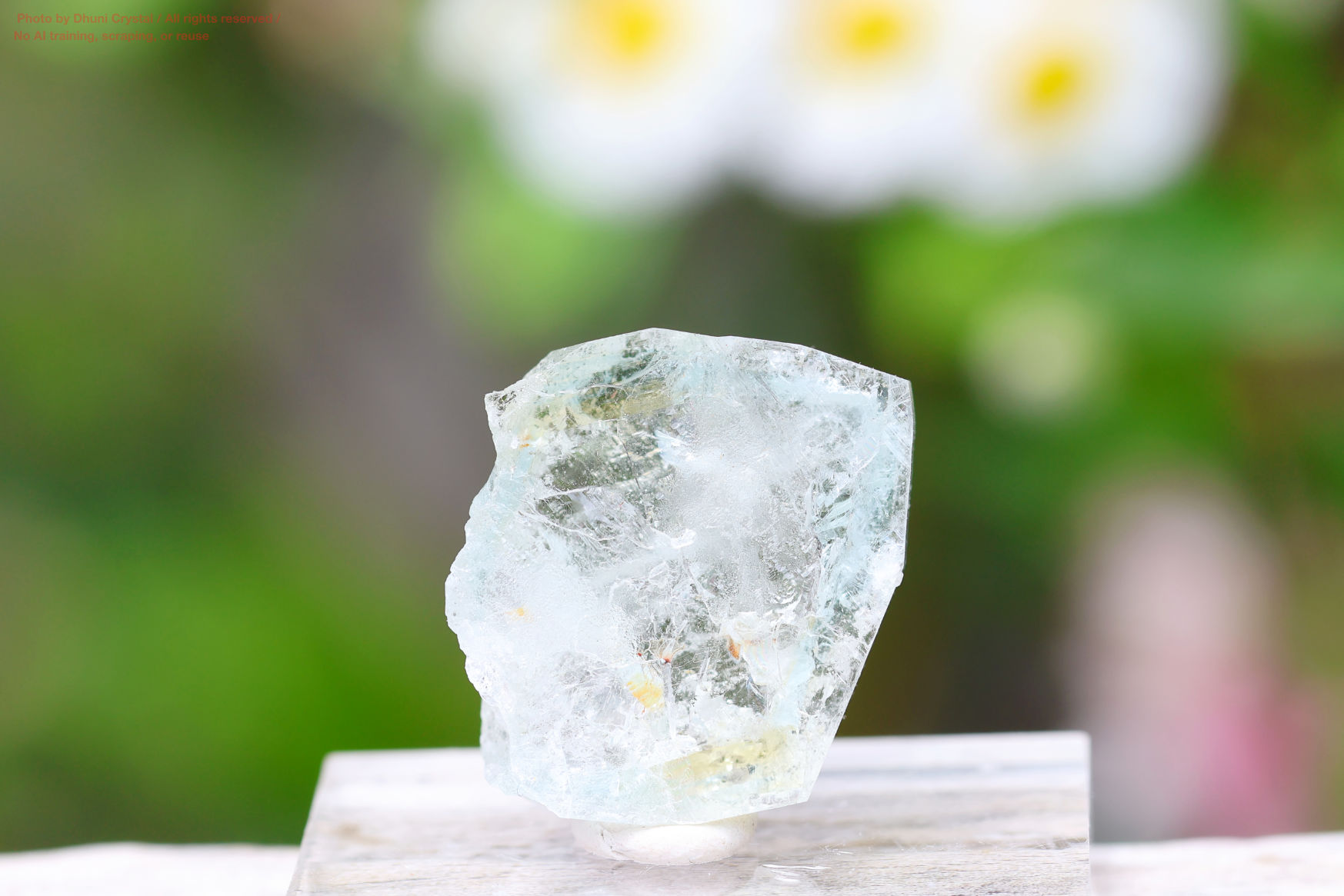 ブルートパーズの写真” loading=