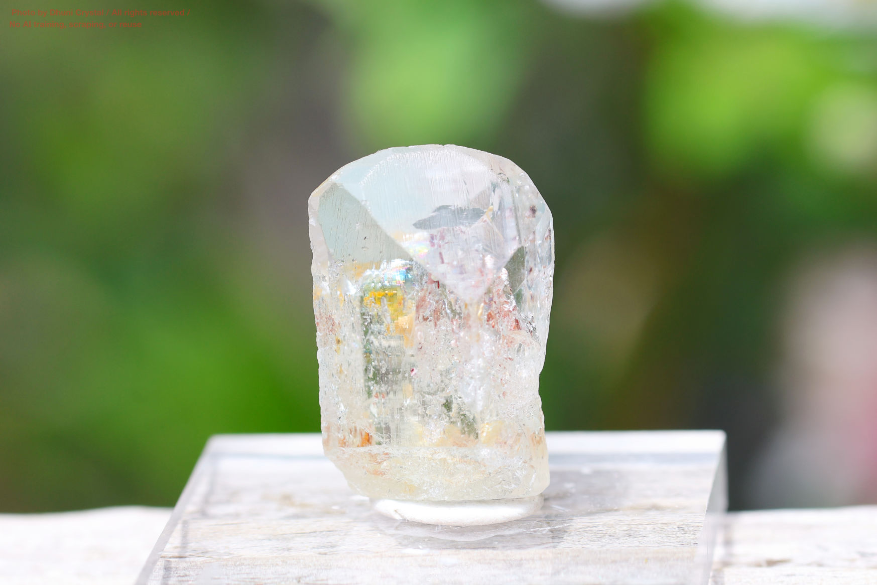 ブルートパーズの写真” loading=