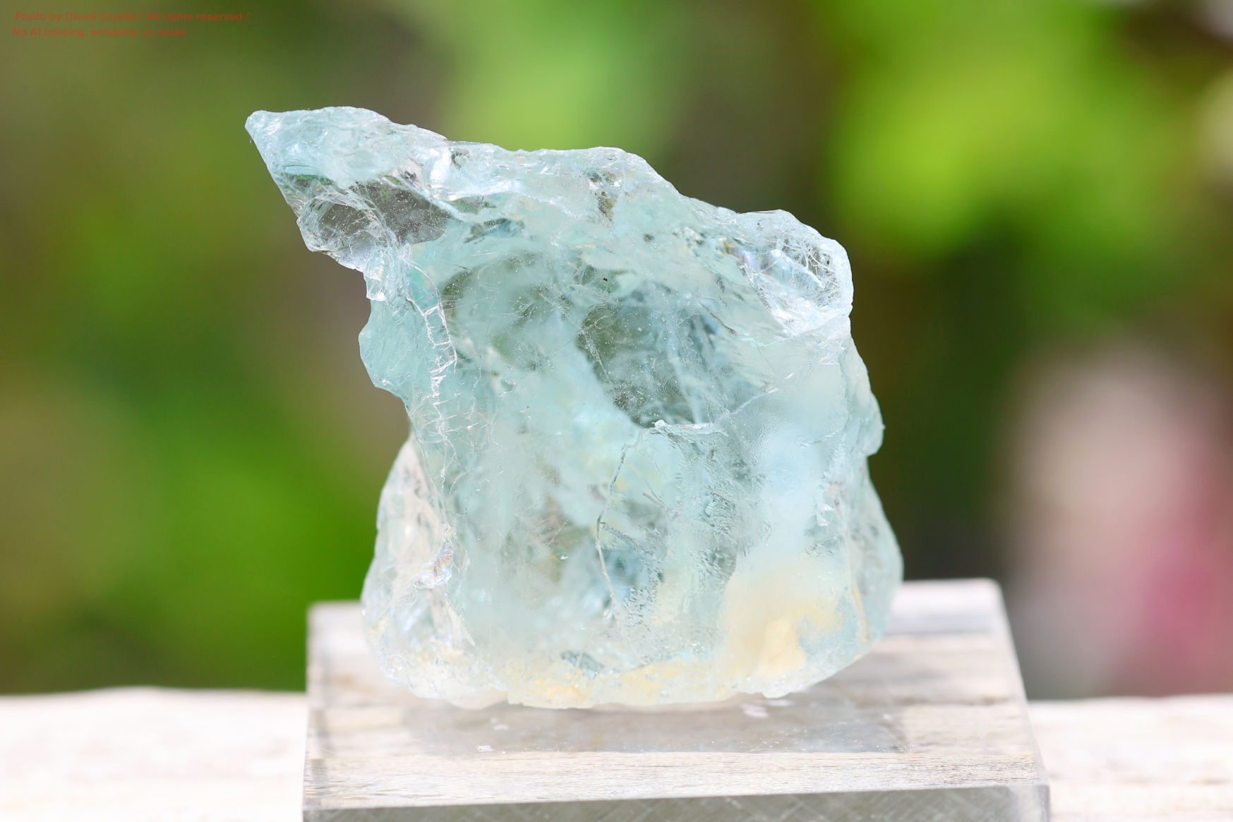 ブルートパーズの写真” loading=