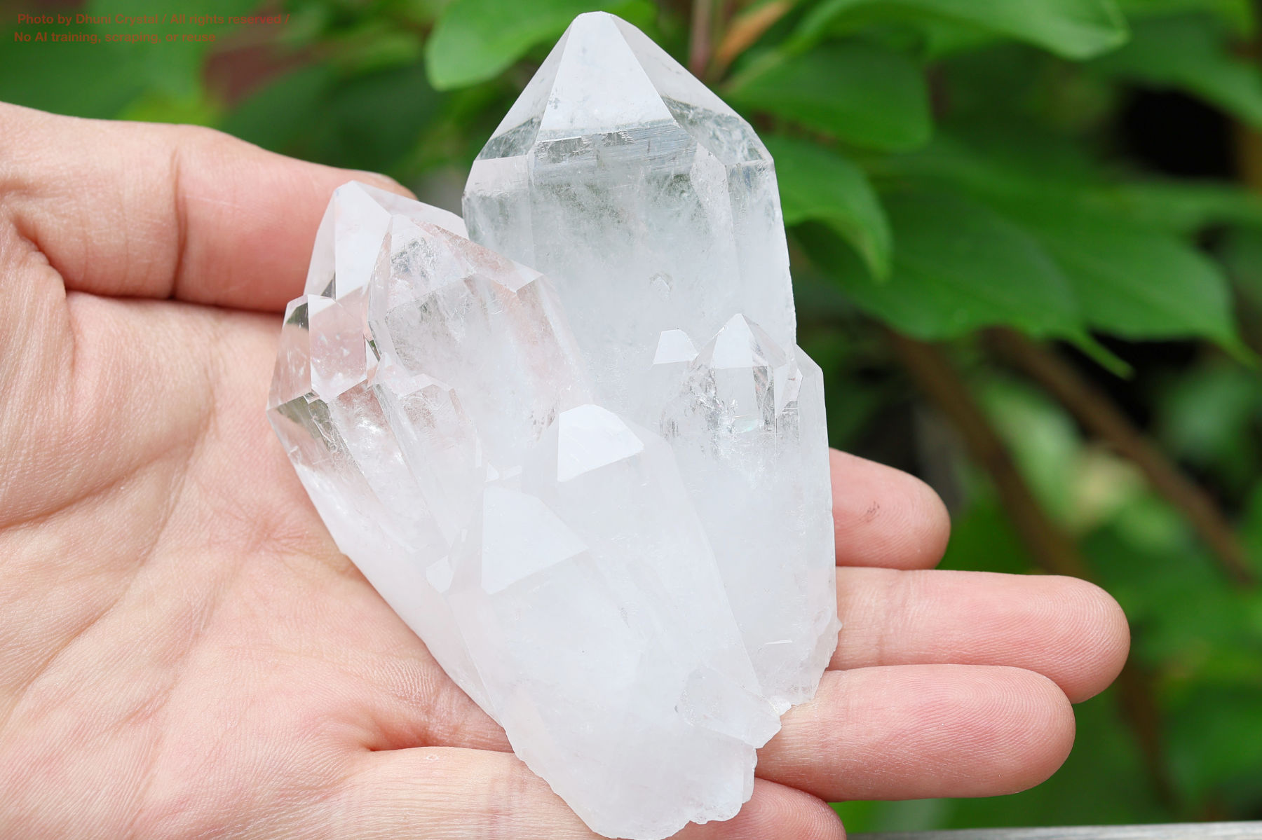 水晶クラスター手の上の画像