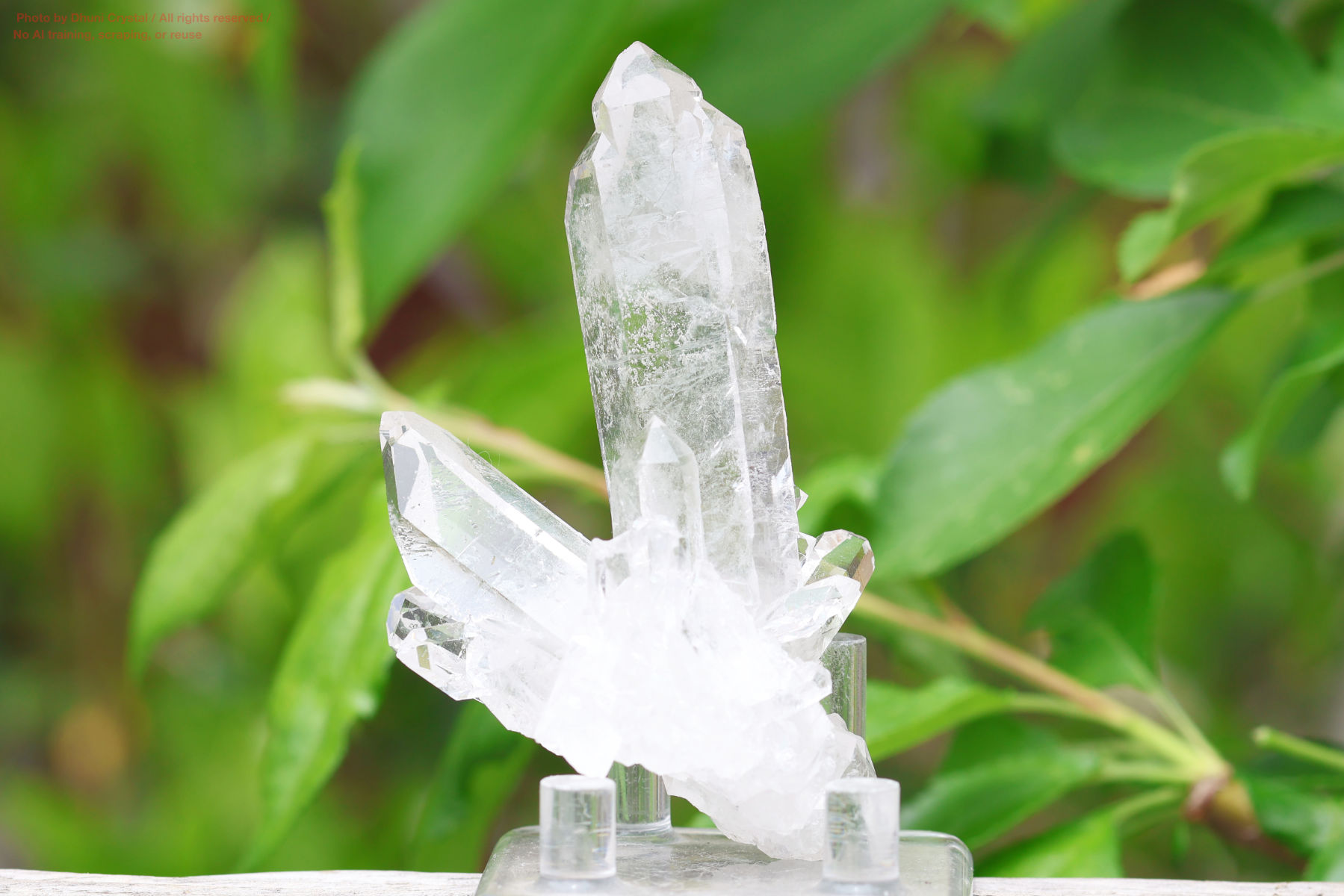 ヴィジョンクォーツクラスターの画像” loading=