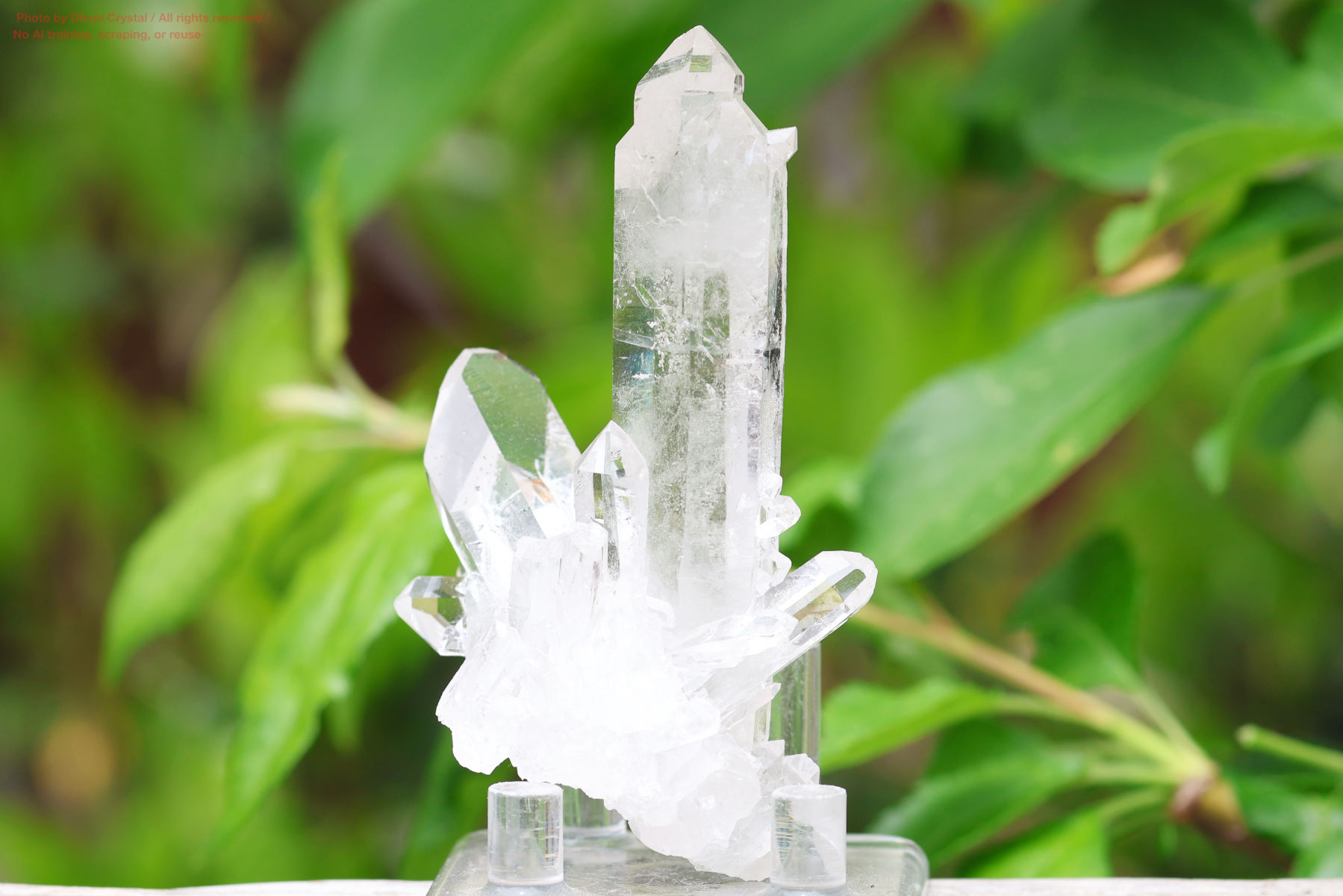 ヴィジョンクォーツクラスターの画像