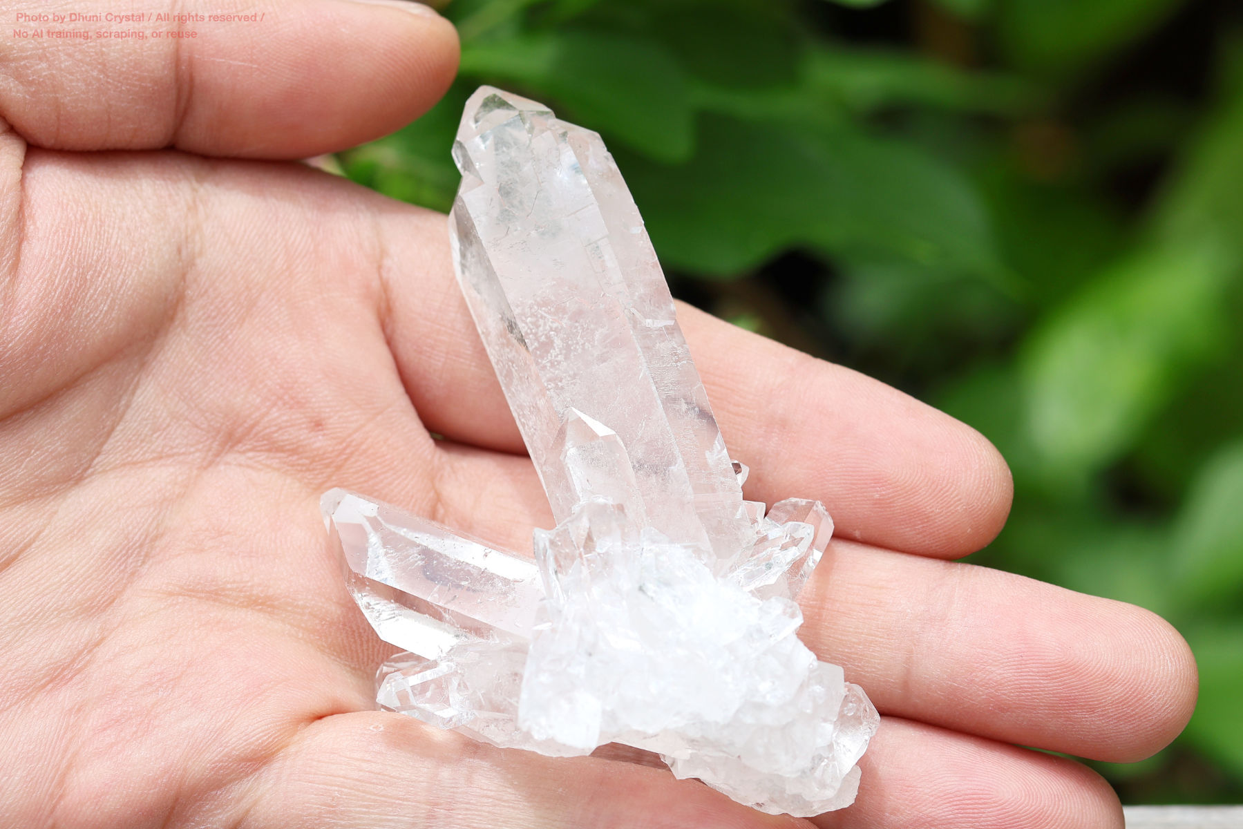 ヴィジョンクォーツクラスター手の上の画像