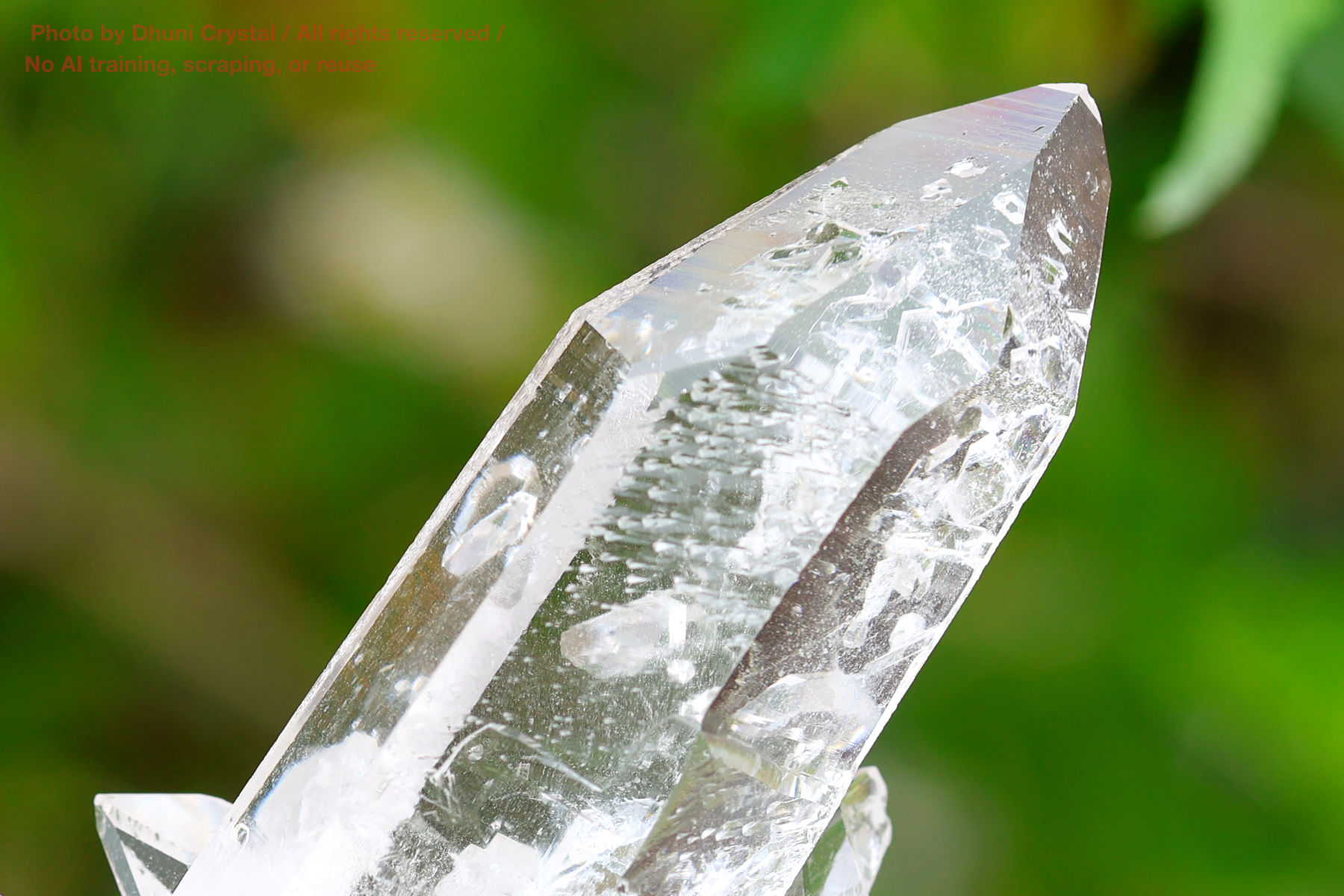 ヴィジョンクォーツクラスターの画像