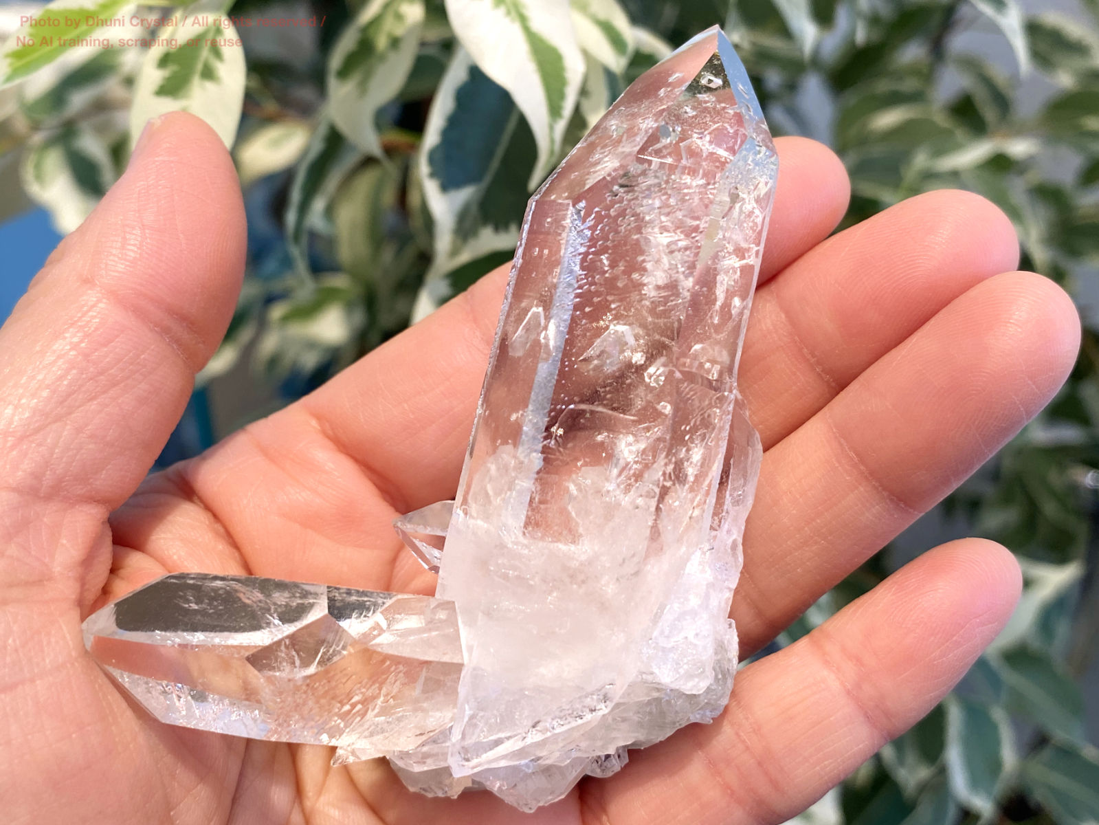 ヴィジョンクォーツクラスター手の上の画像