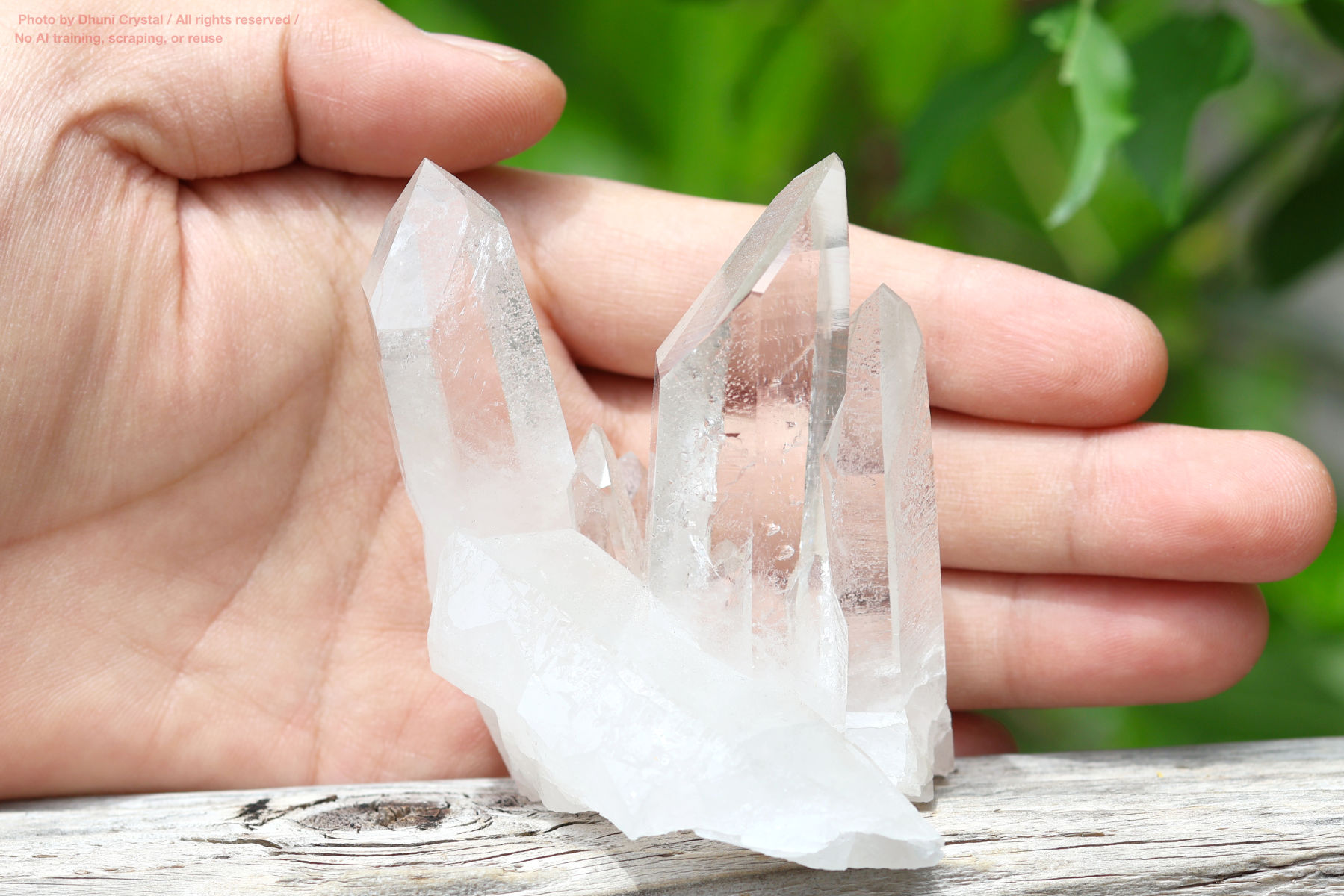 ヴィジョンクォーツクラスター手の上の画像