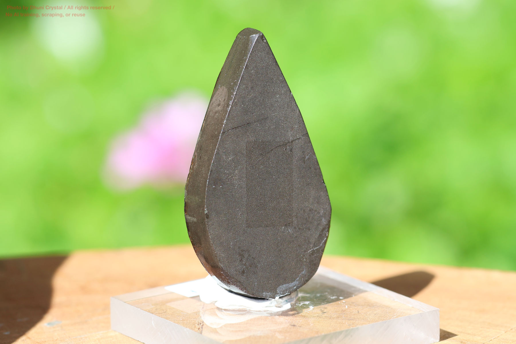 アンモライトの画像