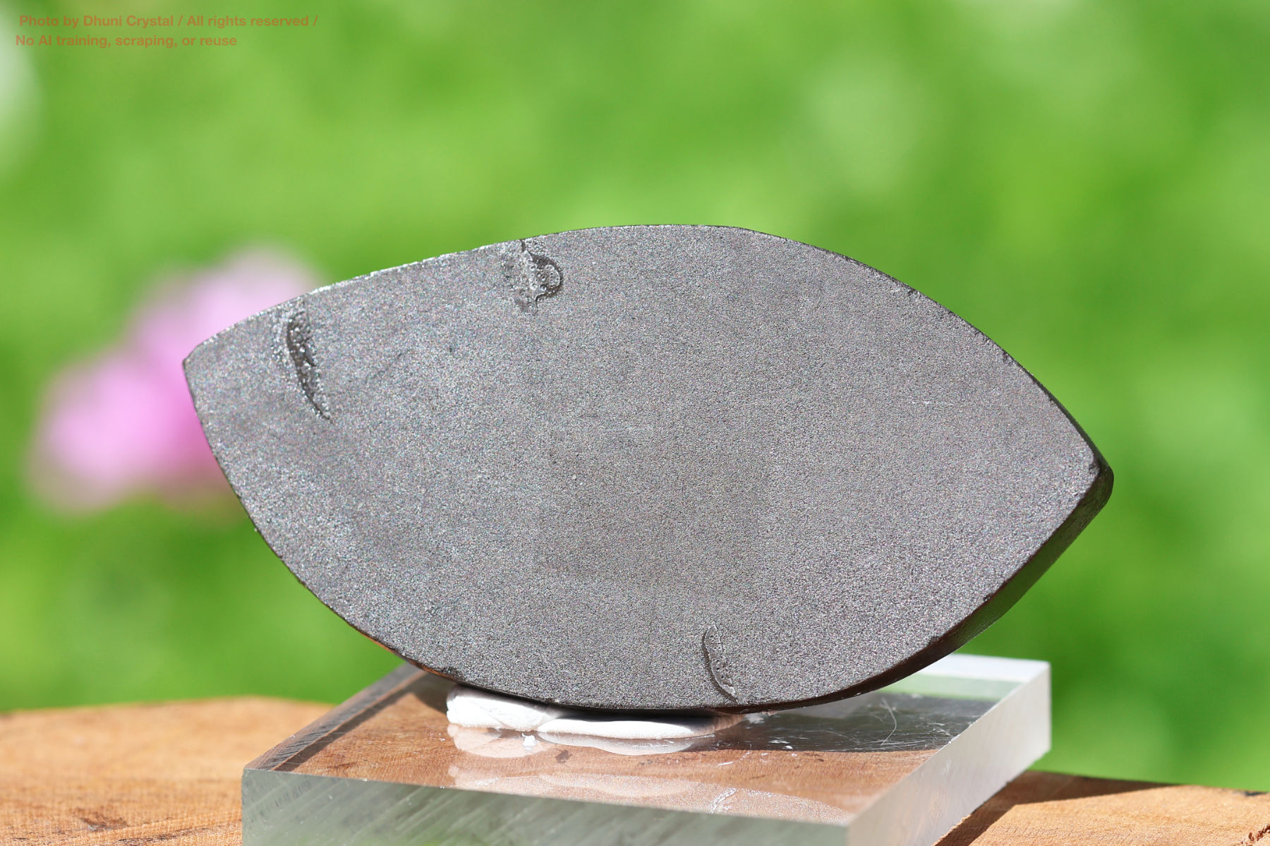 アンモライトの画像