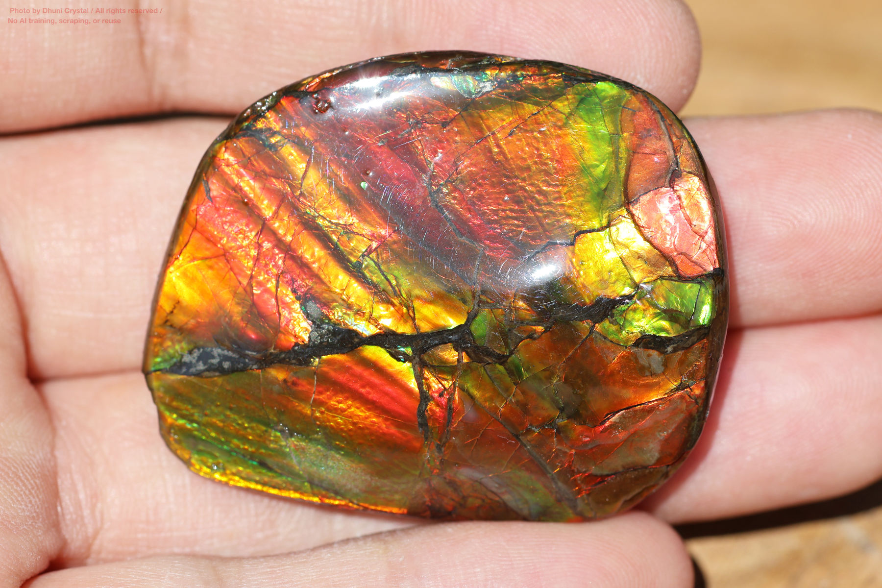 アンモライトの画像