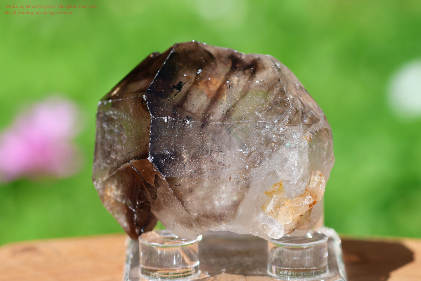 モンドクォーツの写真” loading=