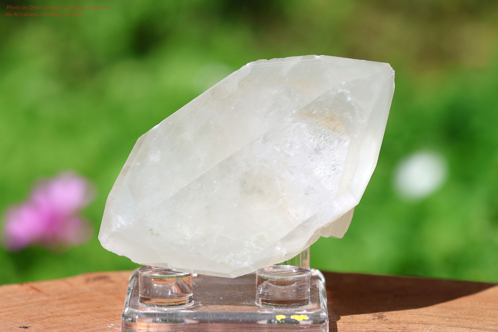 モンドクォーツの写真” loading=