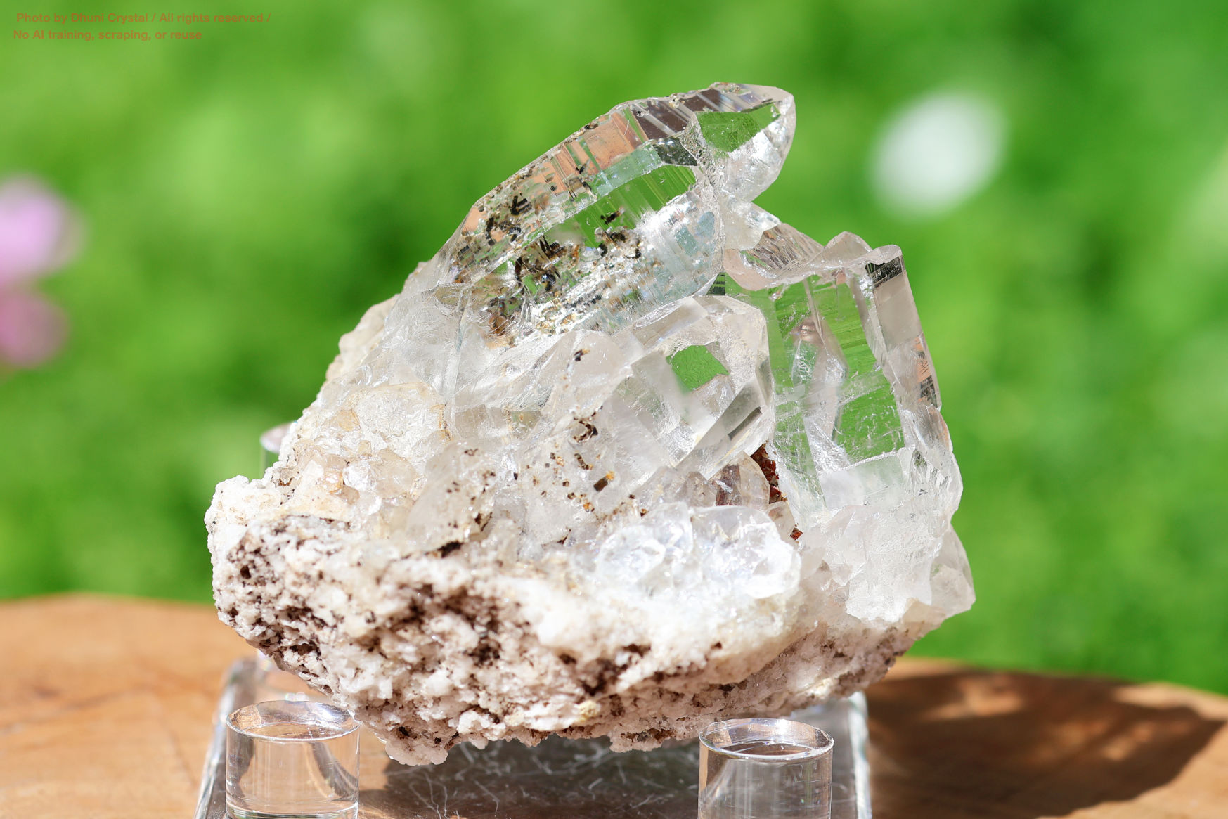 モンドクォーツの写真” loading=