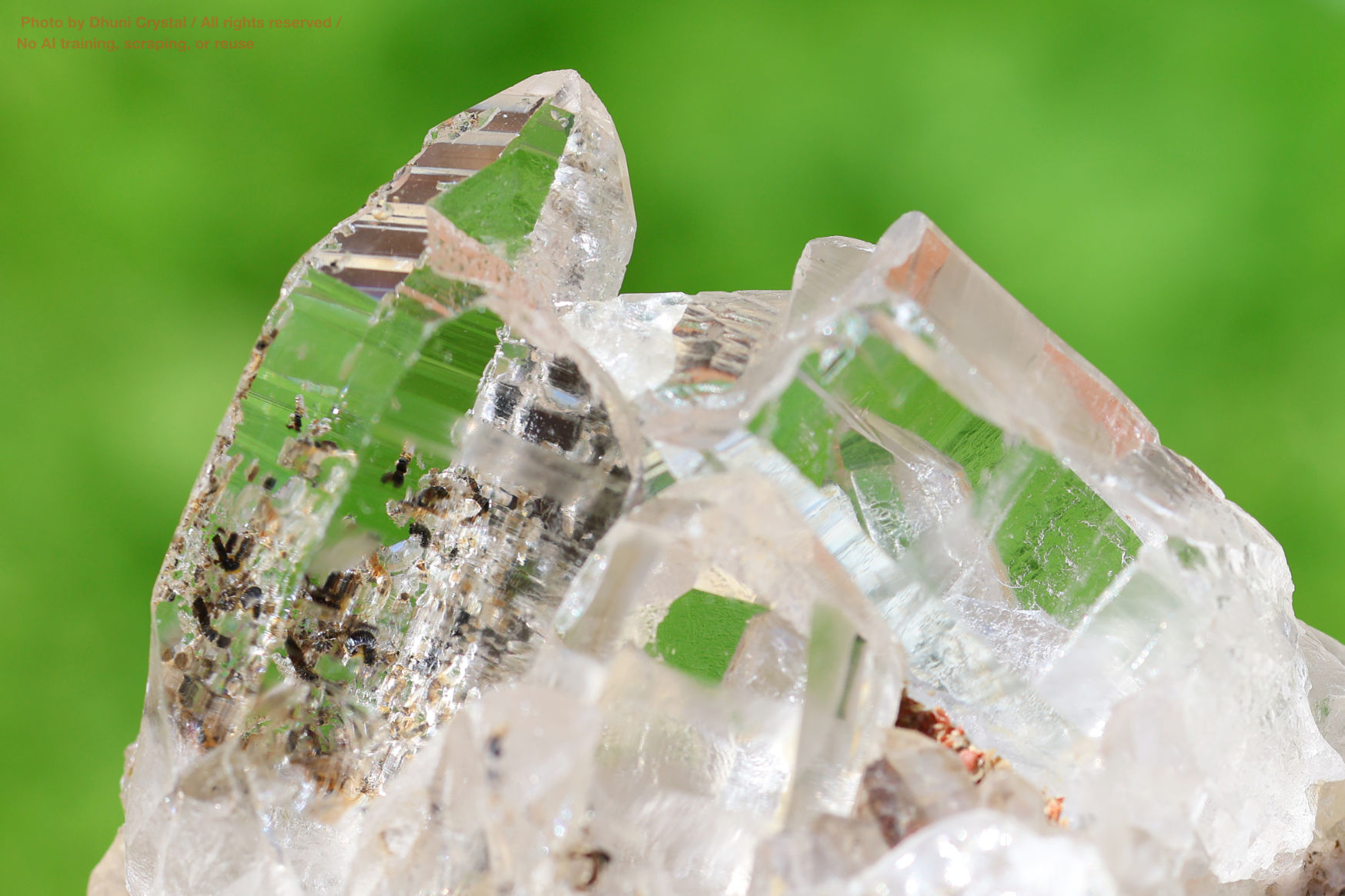 モンドクォーツの拡大画像