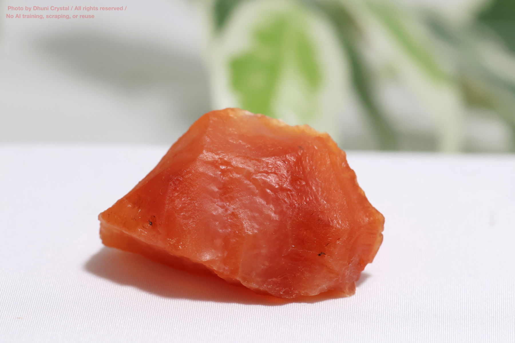 カーネリアンのハート型の画像” loading=