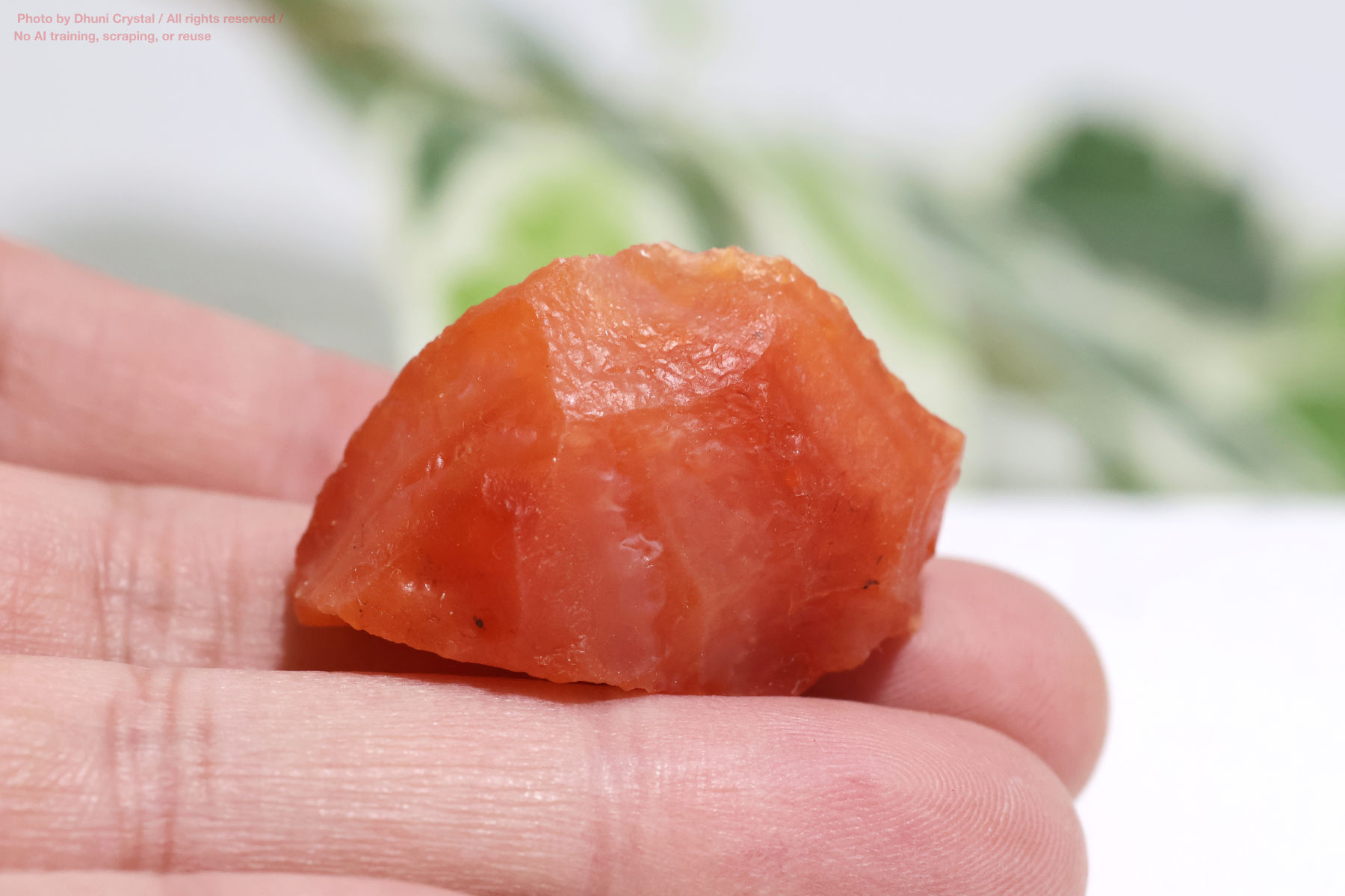 カーネリアンのハート型手の上の画像