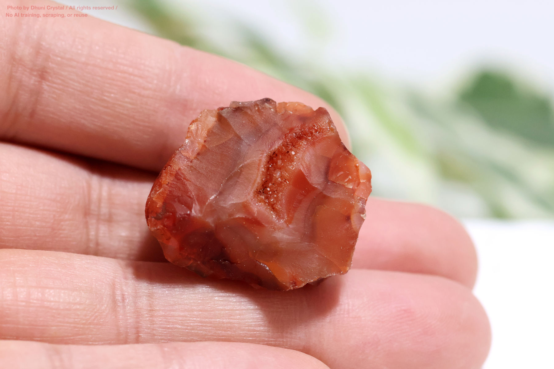 カーネリアンのハート型手の上の画像