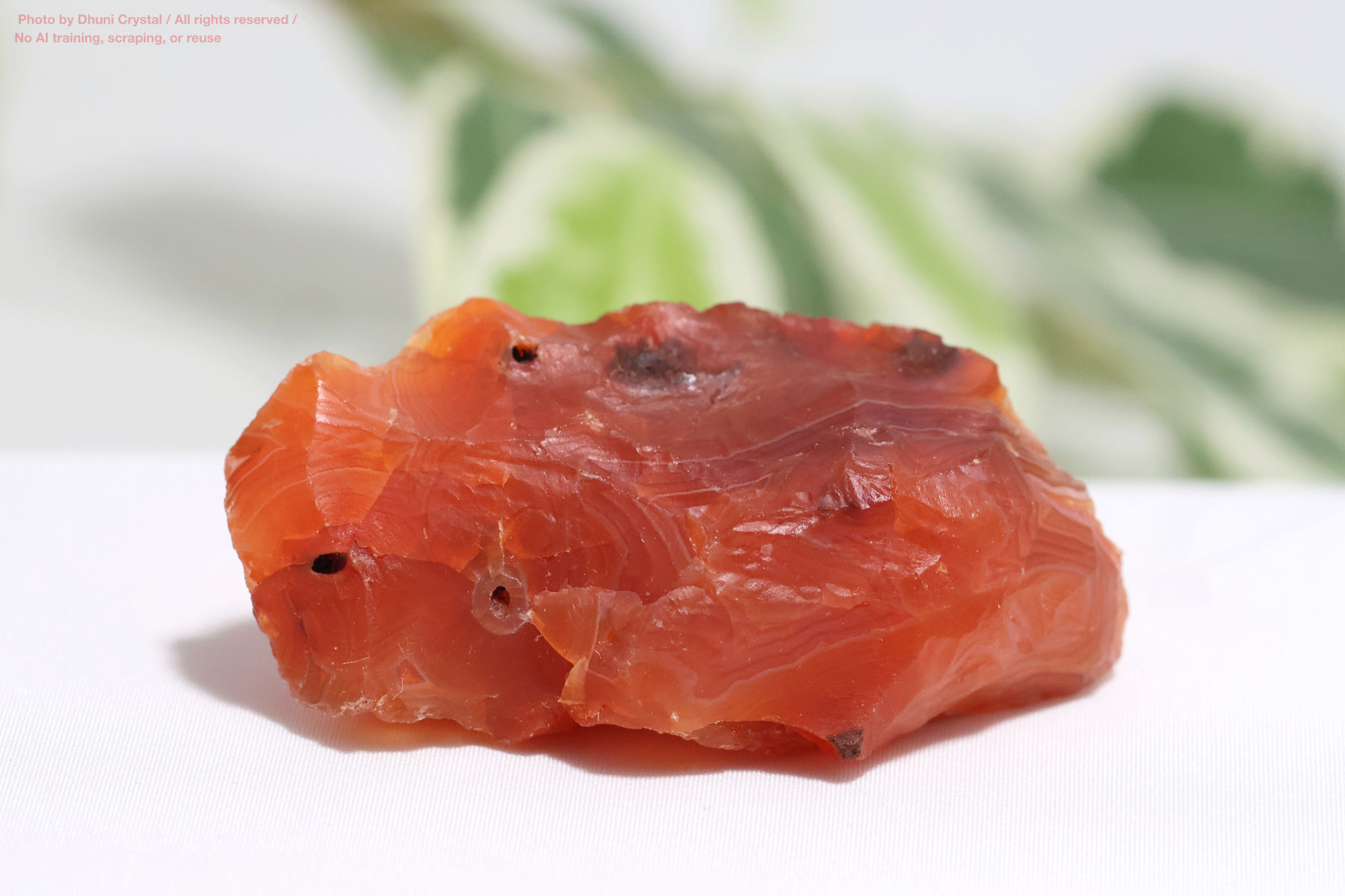 カーネリアンのハート型の画像” loading=