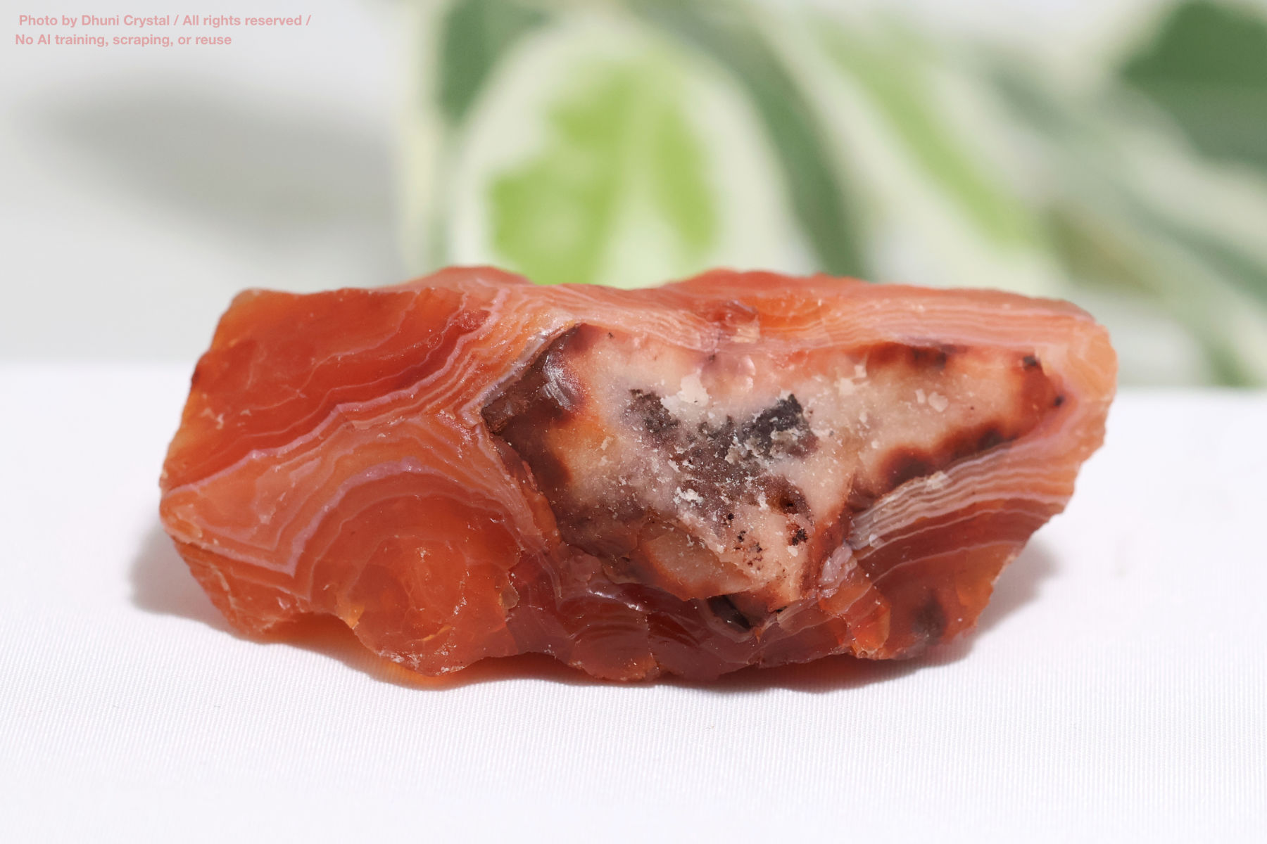 カーネリアンのハート型の画像