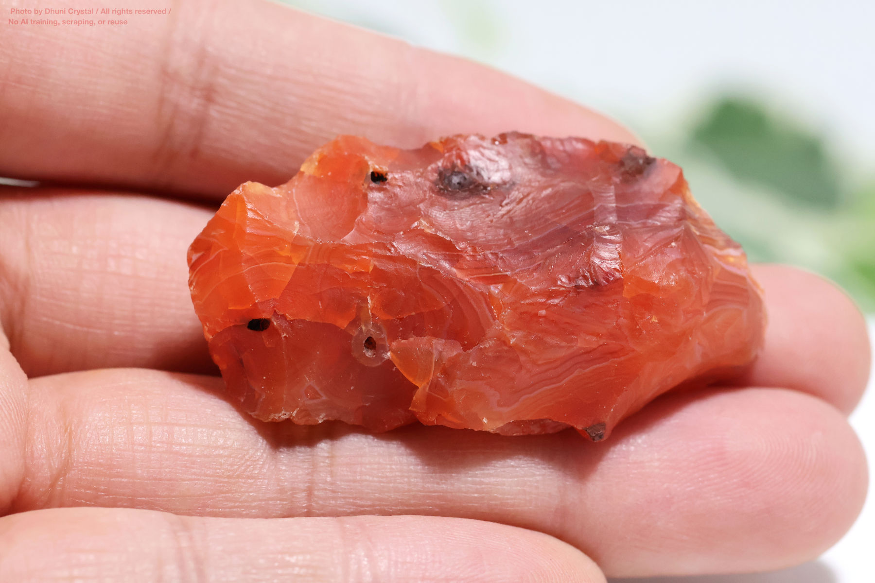 カーネリアンのハート型手の上の画像