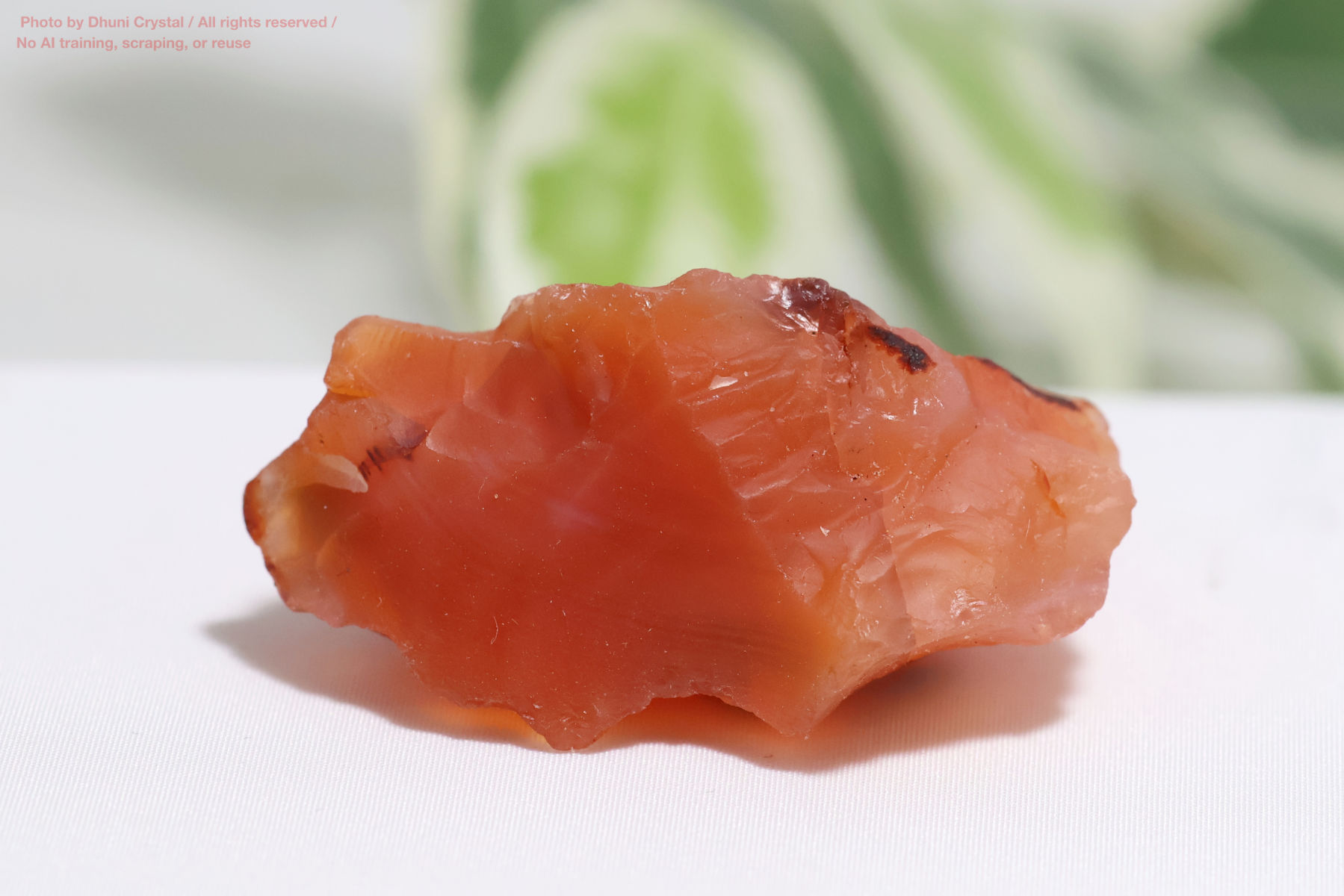 カーネリアンのハート型の画像” loading=