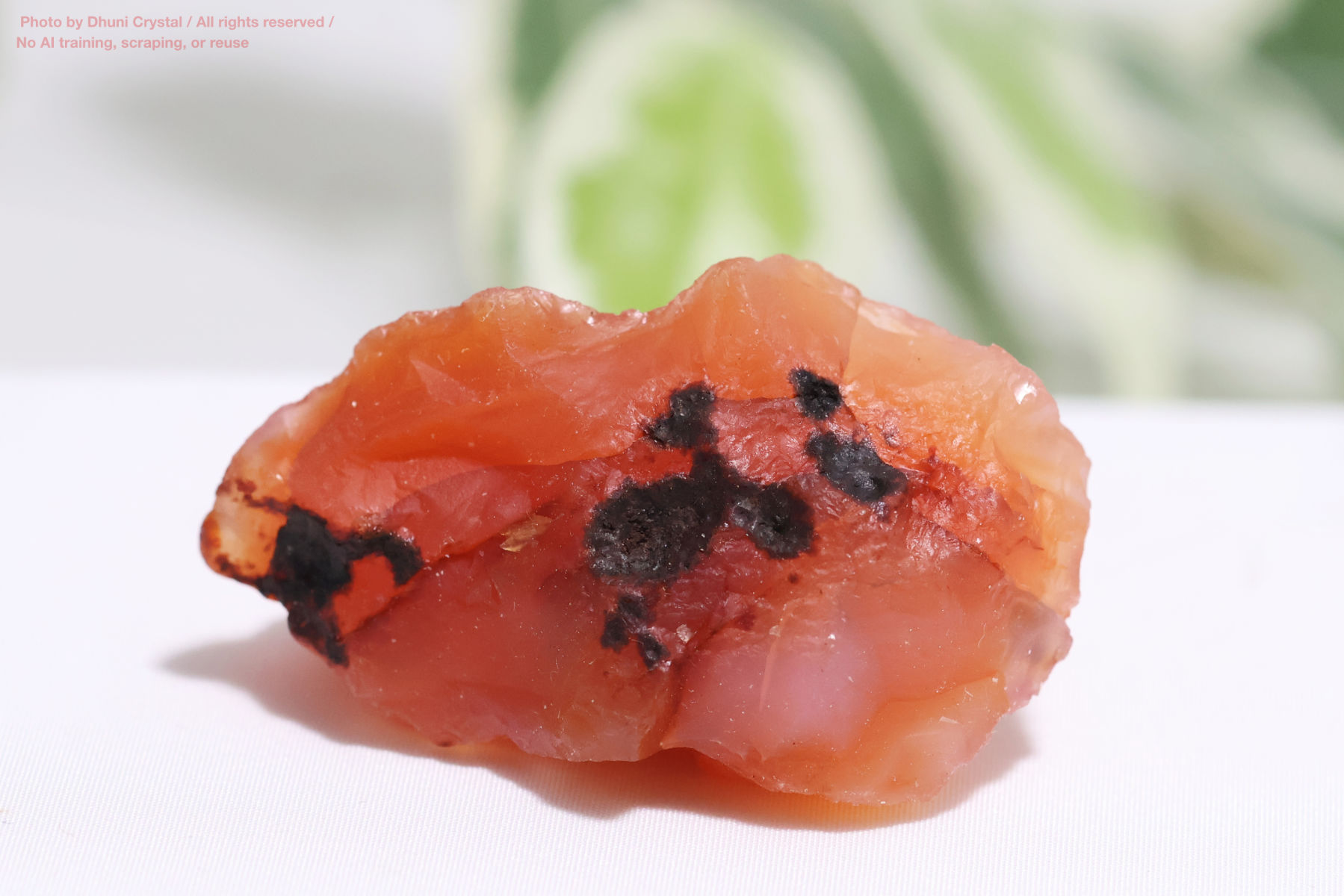 カーネリアンのハート型の画像