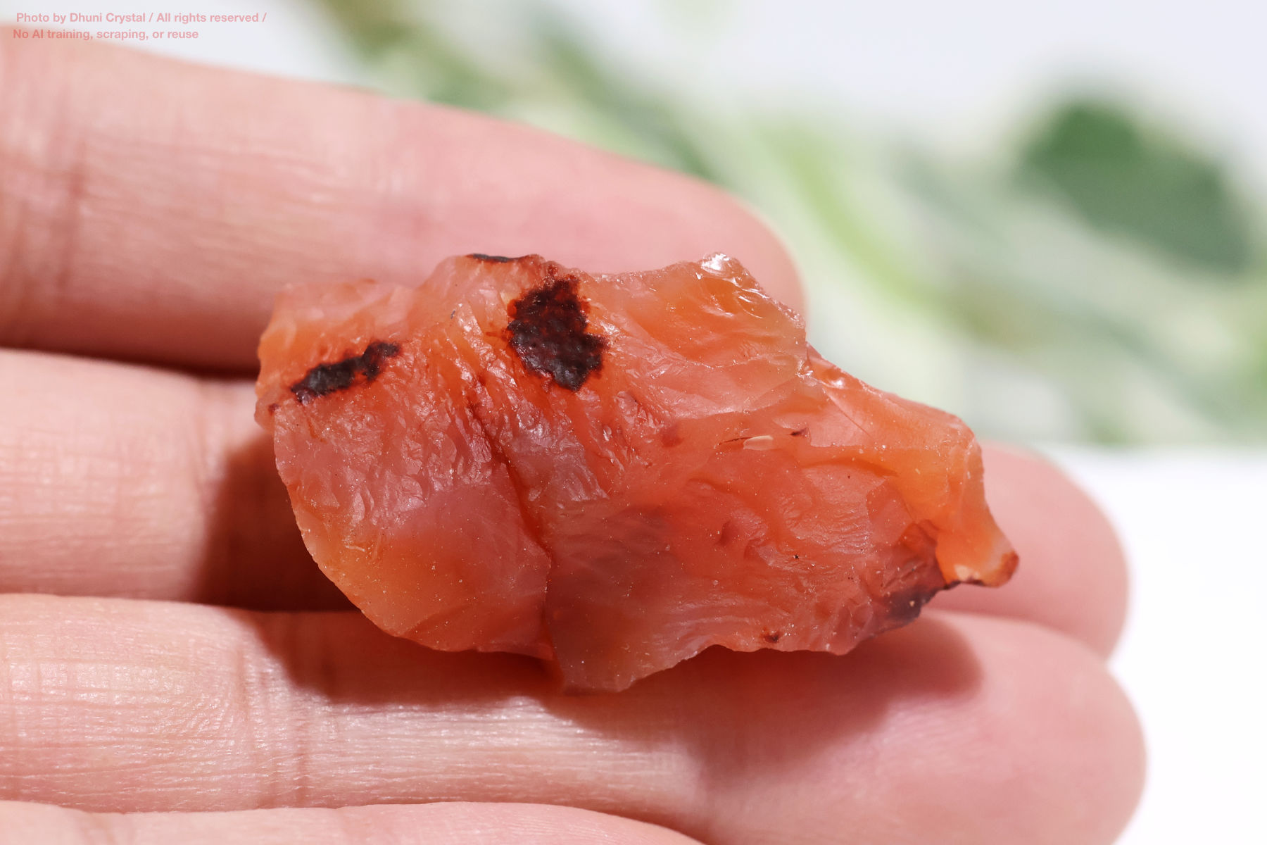 カーネリアンのハート型手の上の画像