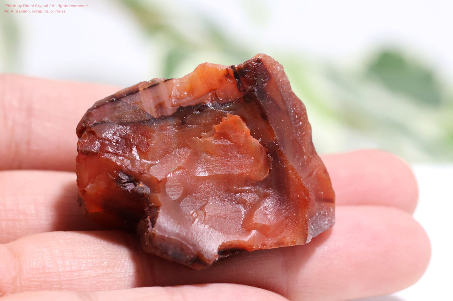 カーネリアンのハート型手の上の画像