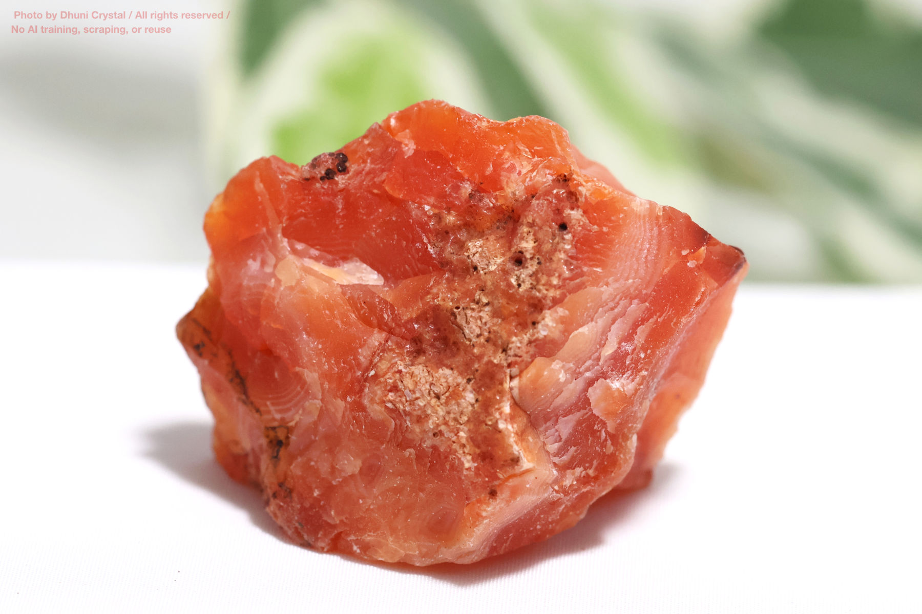 カーネリアンのハート型の画像