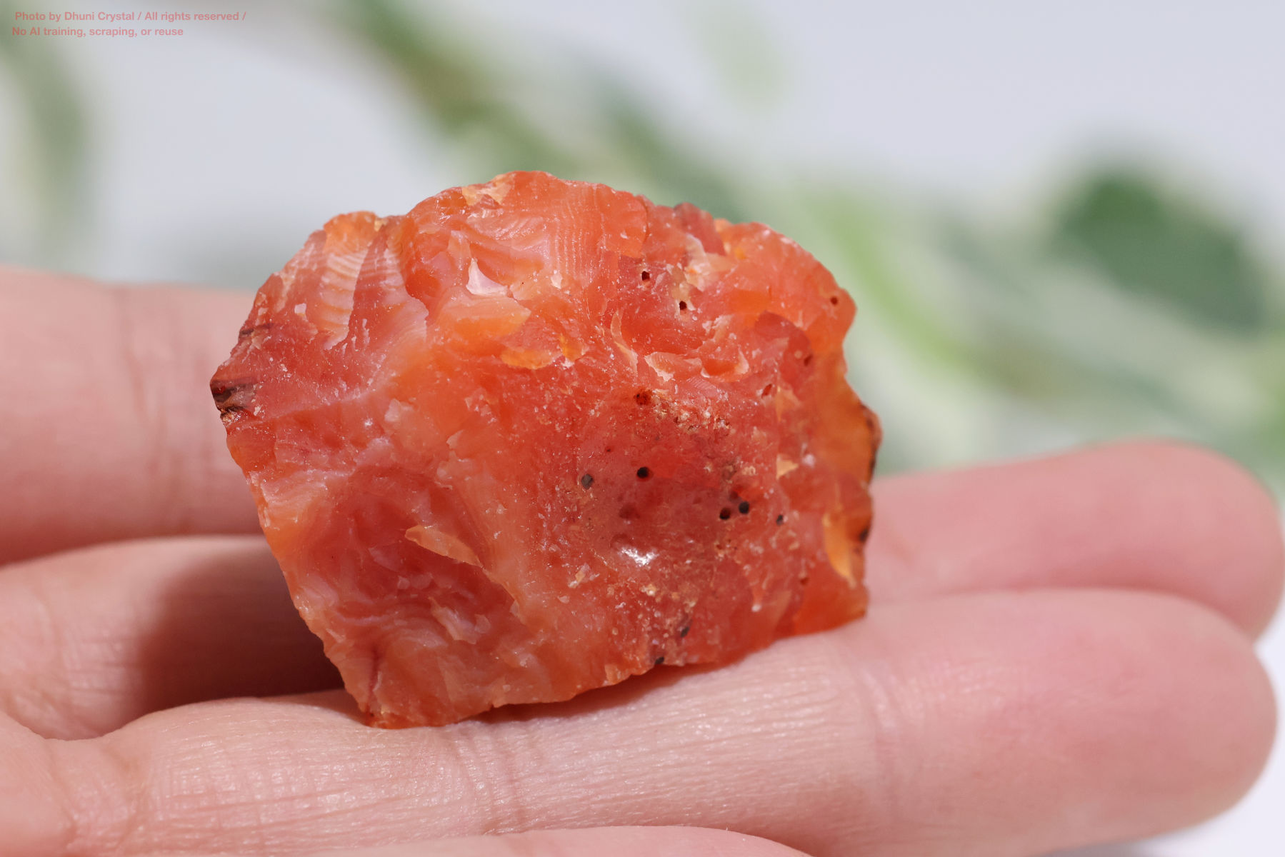 カーネリアンのハート型手の上の画像