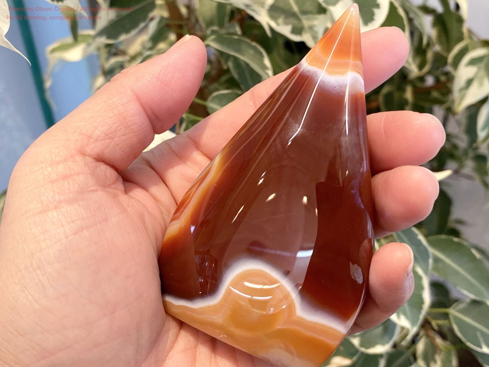 カーネリアンのハート型手の上の画像