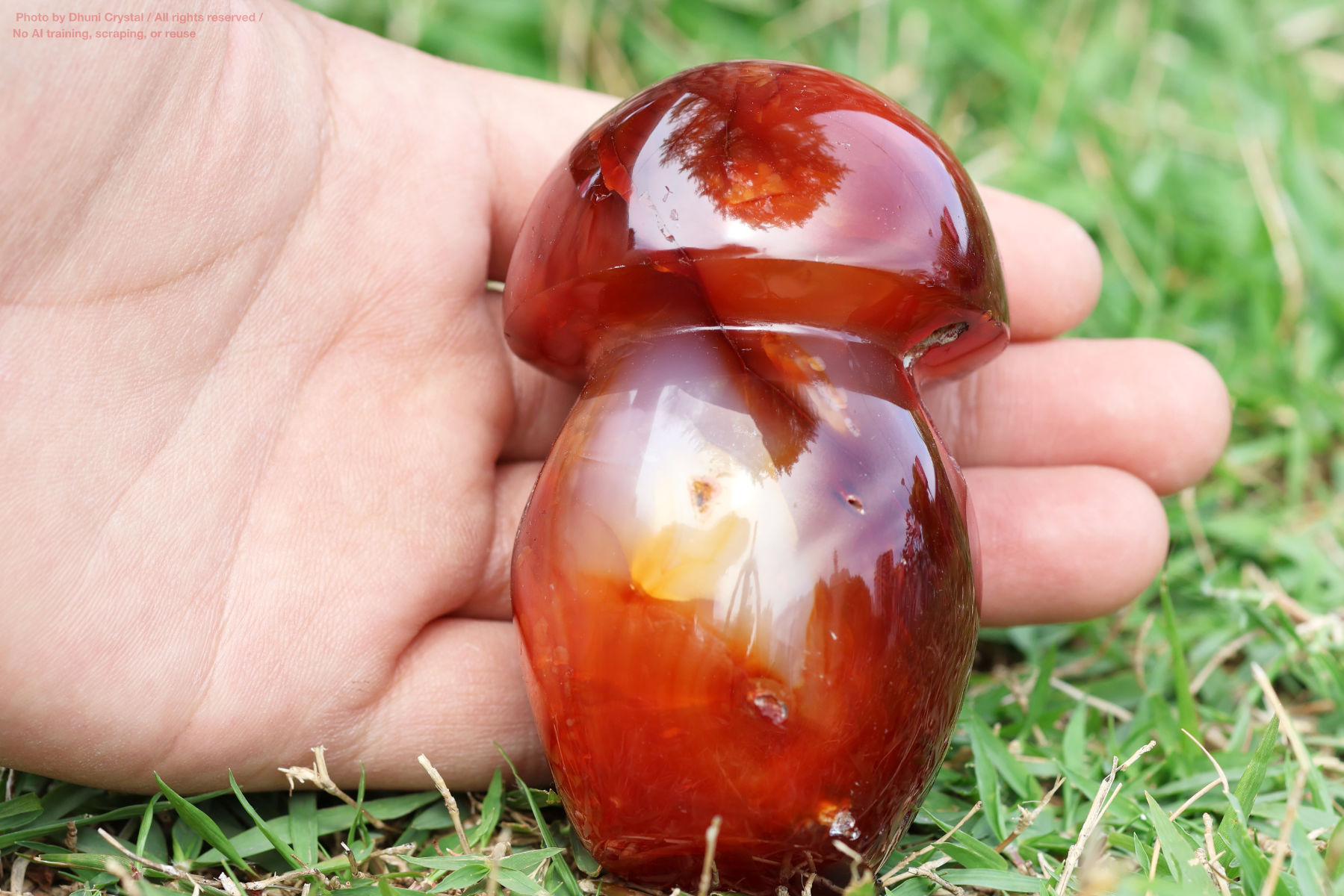 カーネリアンのハート型手の上の画像