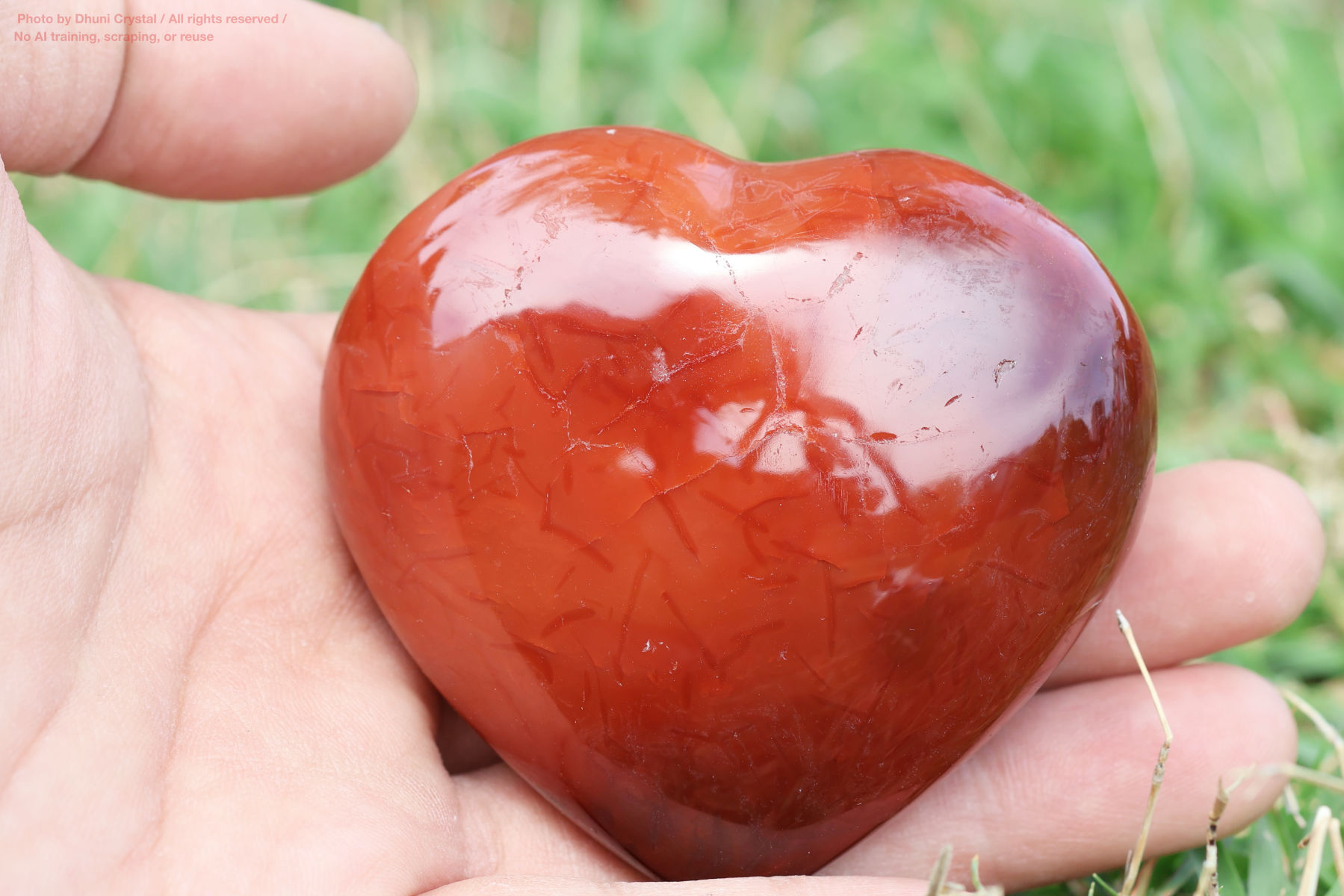 カーネリアンのハート型手の上の画像