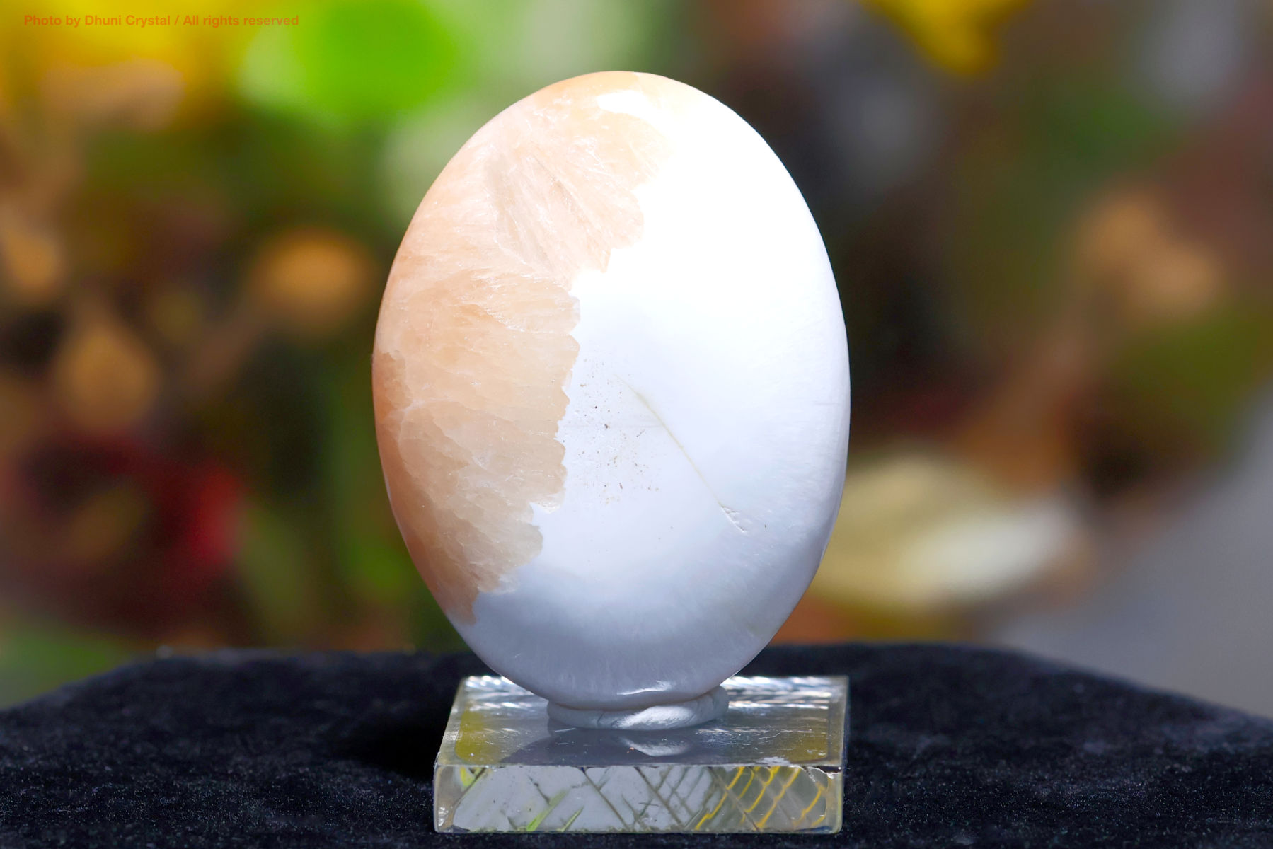 スコレサイトとスティルバイトのパームストーン画像” loading=