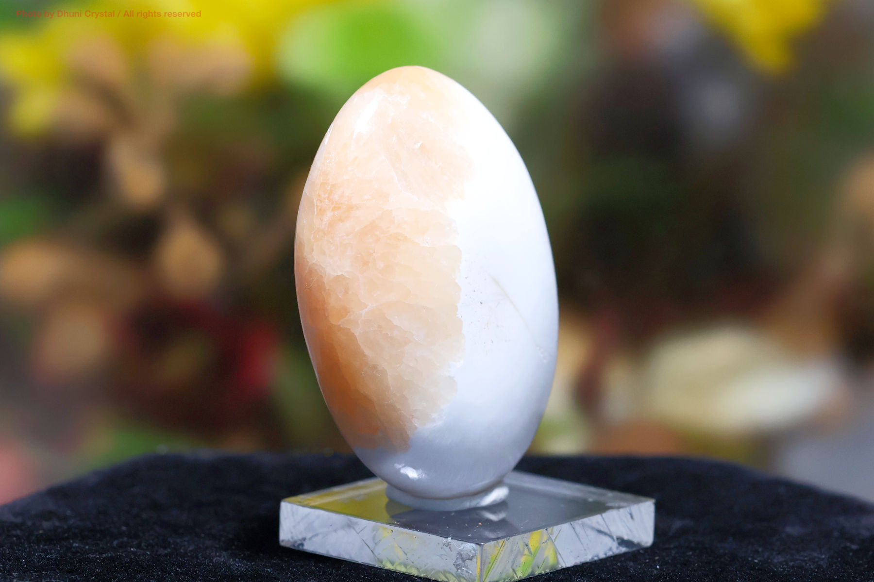 スコレサイトとスティルバイトのパームストーン画像