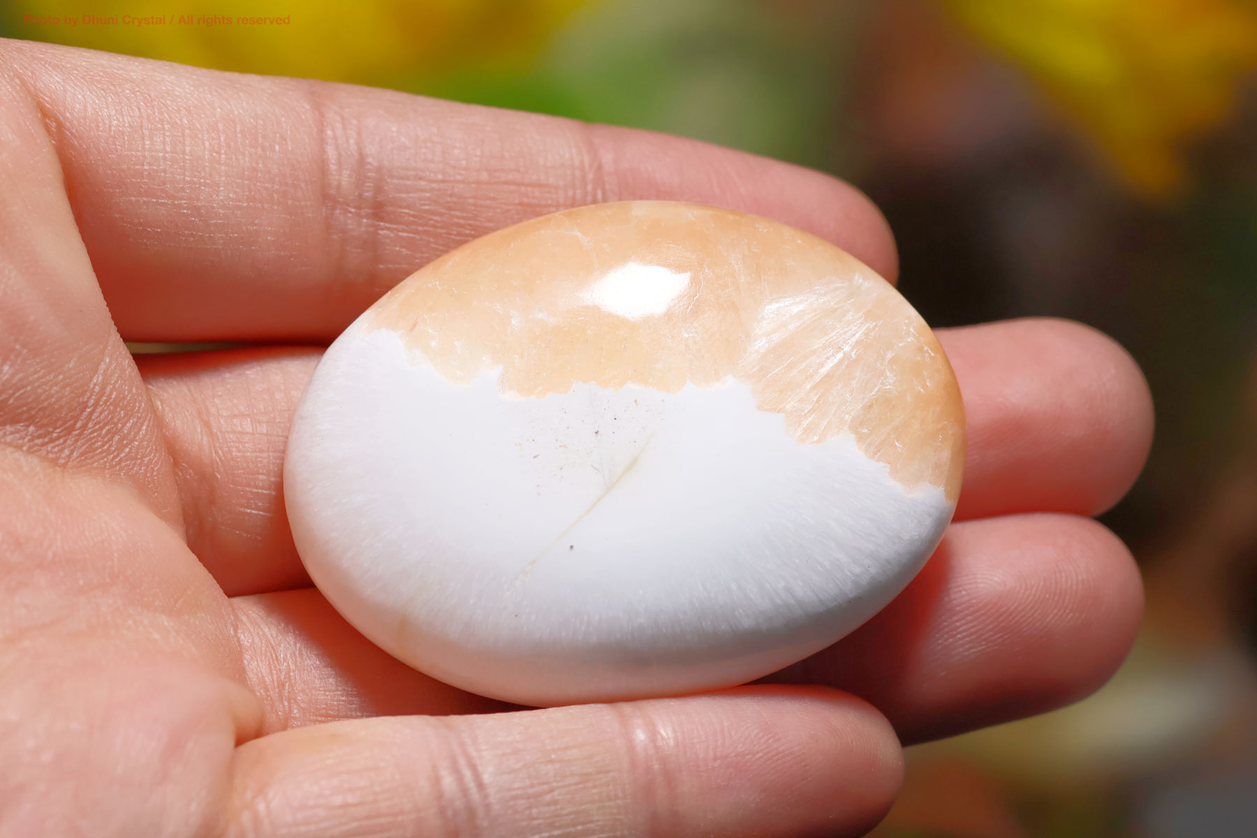 スコレサイトとスティルバイトのパームストーン手の上の画像