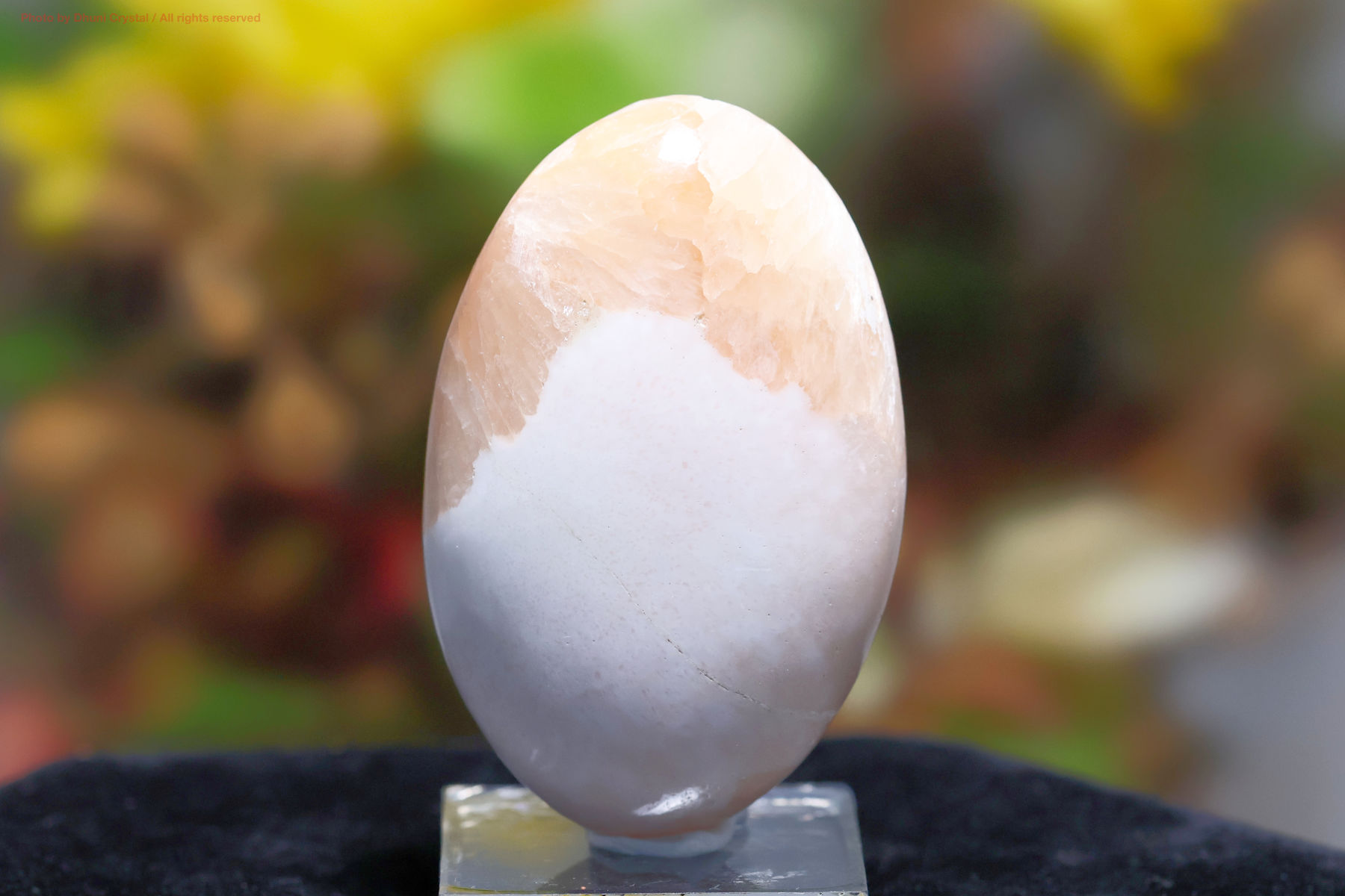 スコレサイトとスティルバイトのパームストーン画像” loading=