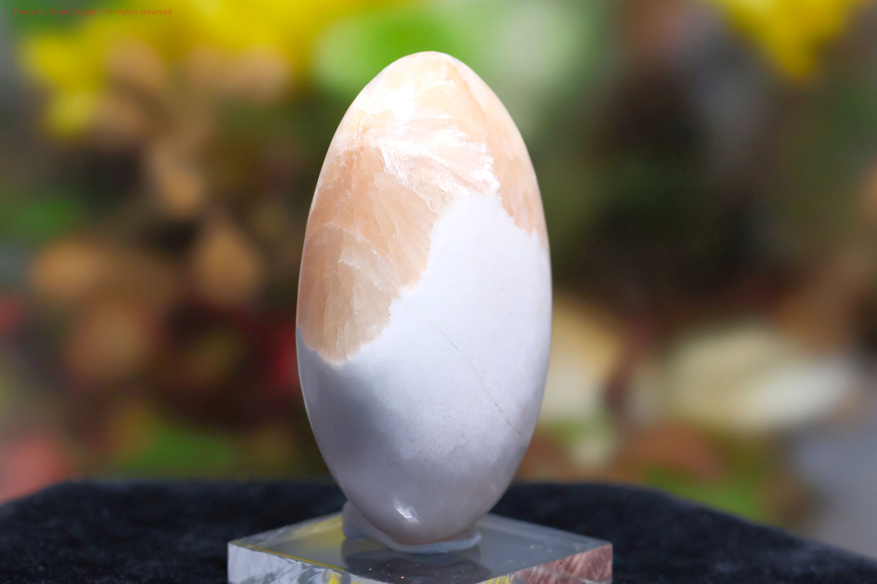 スコレサイトとスティルバイトのパームストーン画像