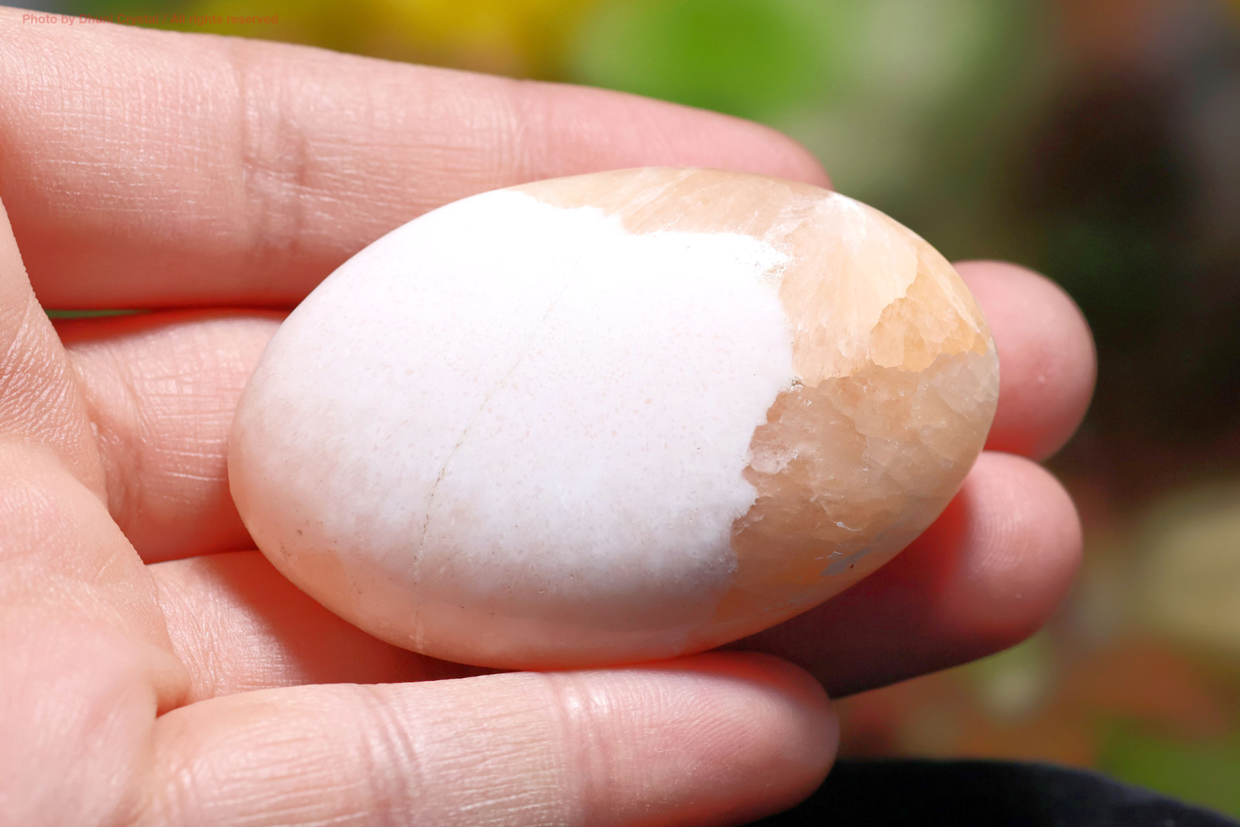 スコレサイトとスティルバイトのパームストーン手の上の画像