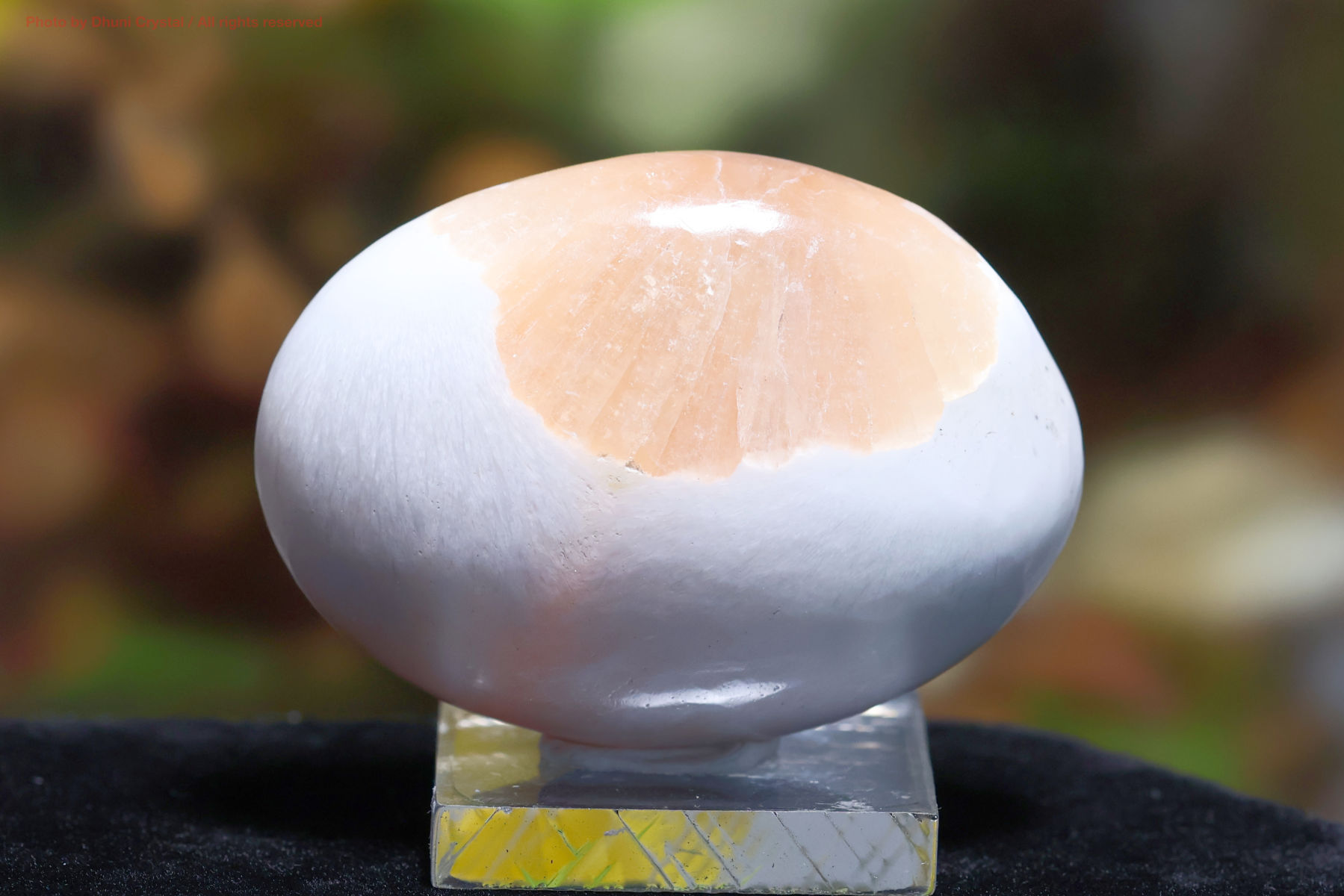 スコレサイトとスティルバイトのパームストーン画像” loading=