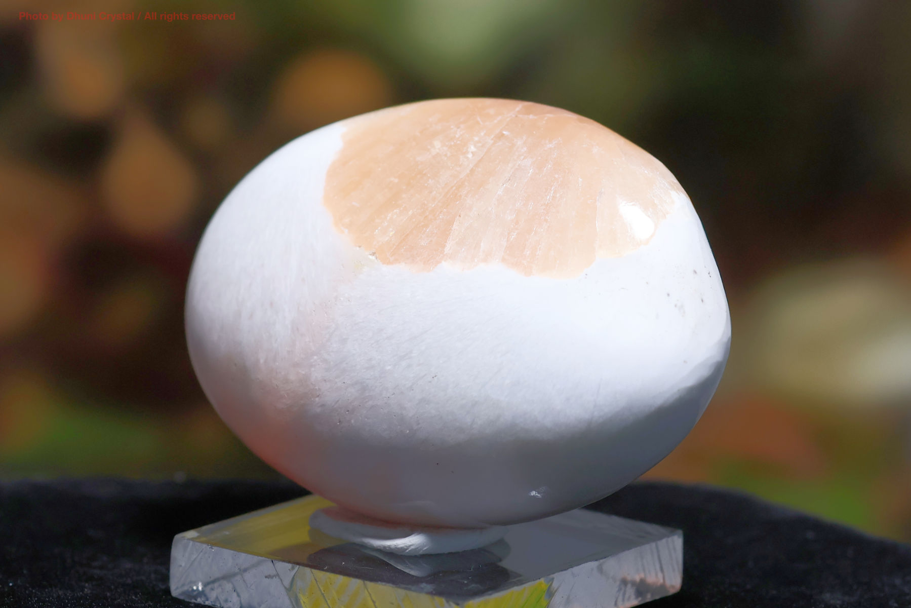 スコレサイトとスティルバイトのパームストーン画像