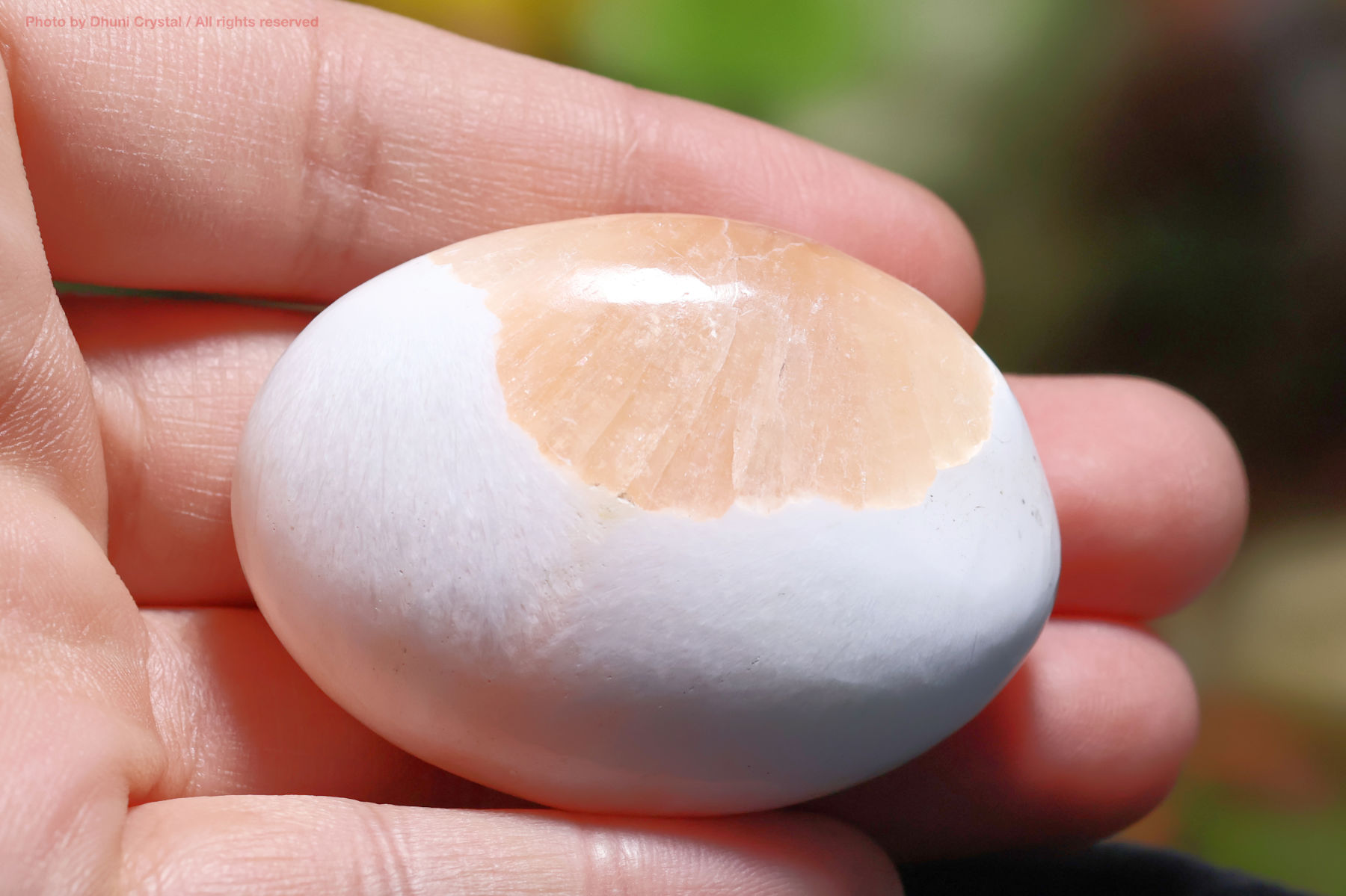 スコレサイトとスティルバイトのパームストーン手の上の画像